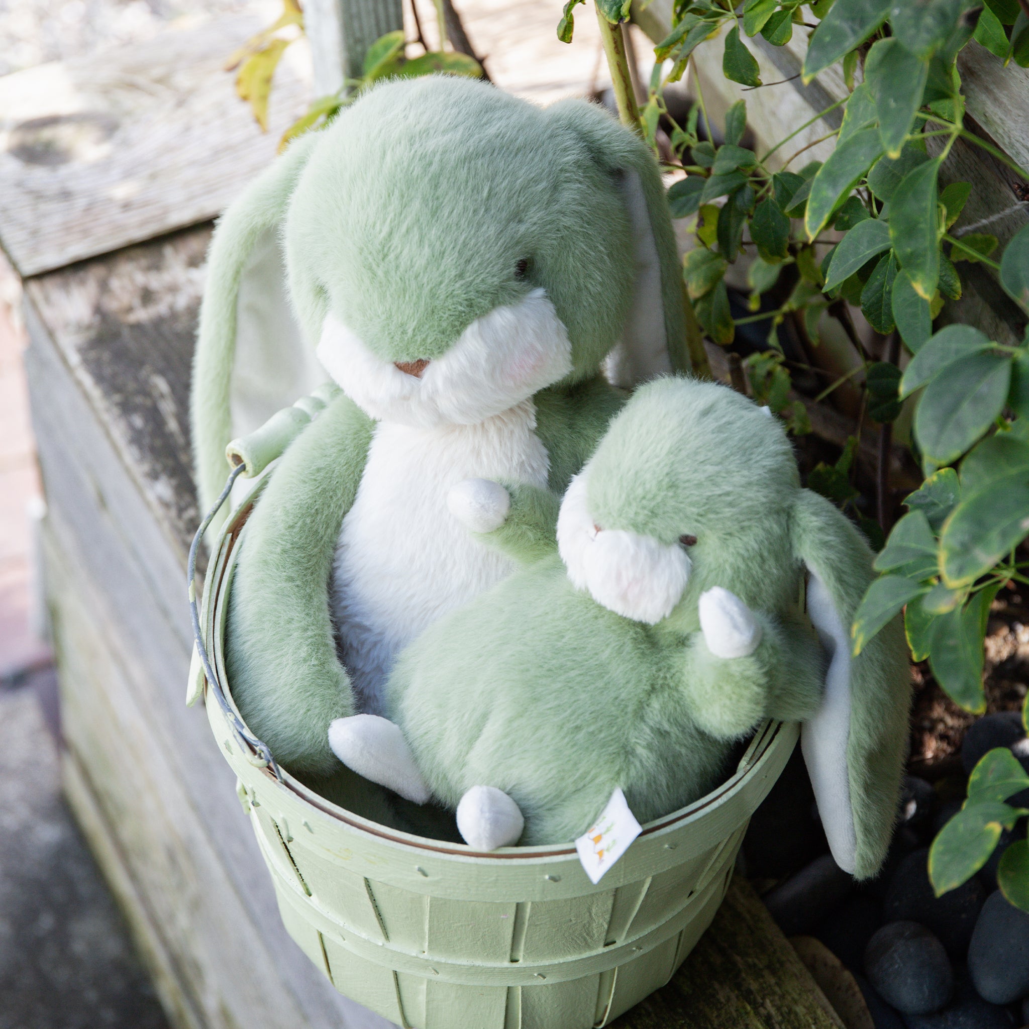 190544: Big 20" Nibble Bunny – Pistachio