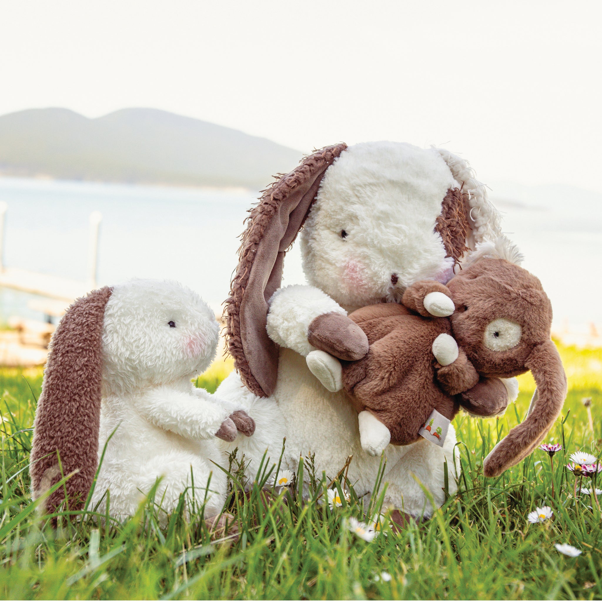 580597: Baby Harriet Hare