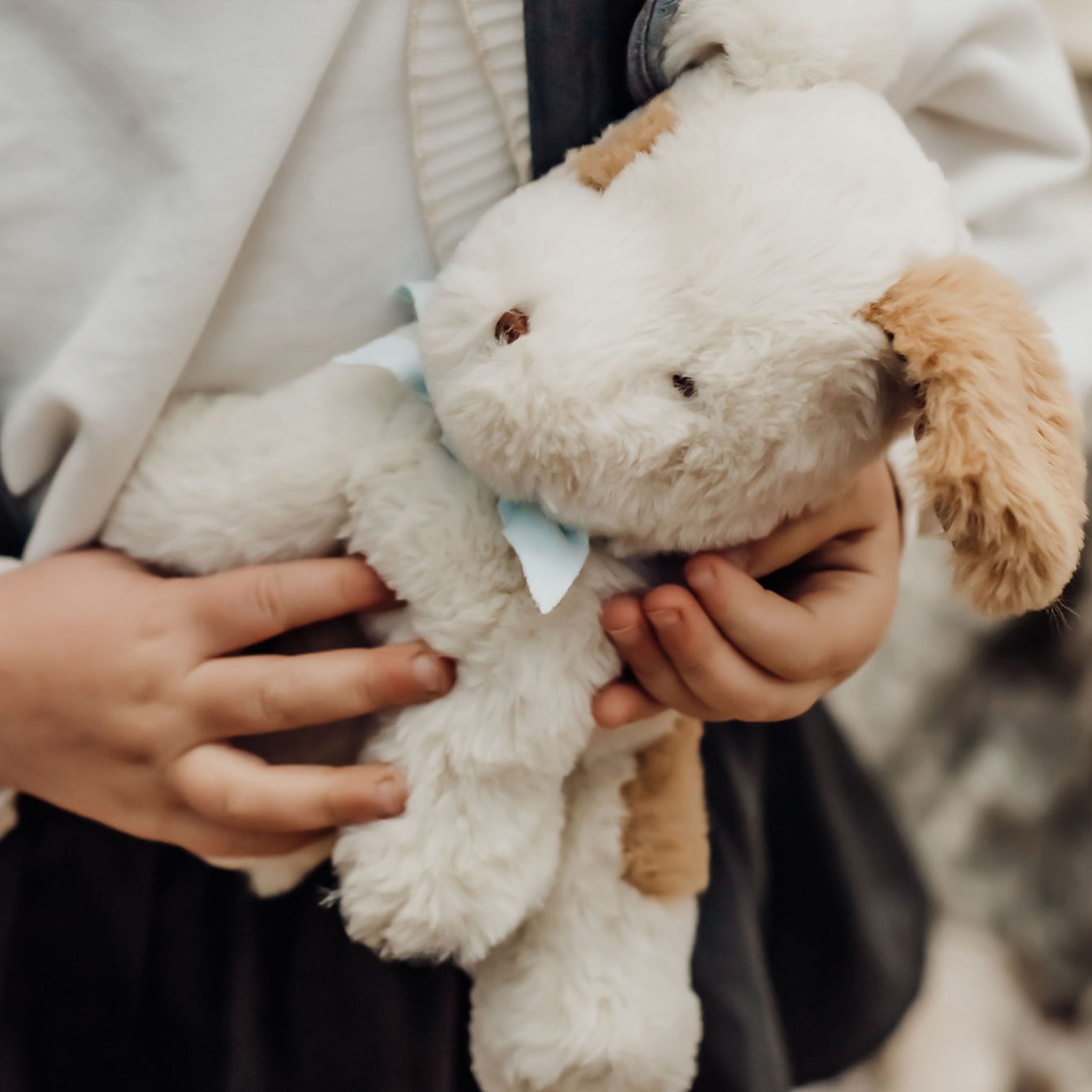 100902: Cricket Island Skipit Puppy