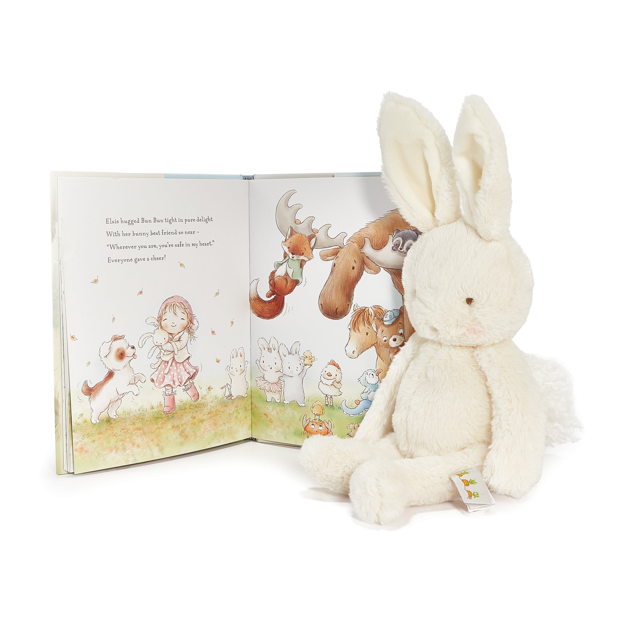 190400: Bun Bun Bunny Book Bundle