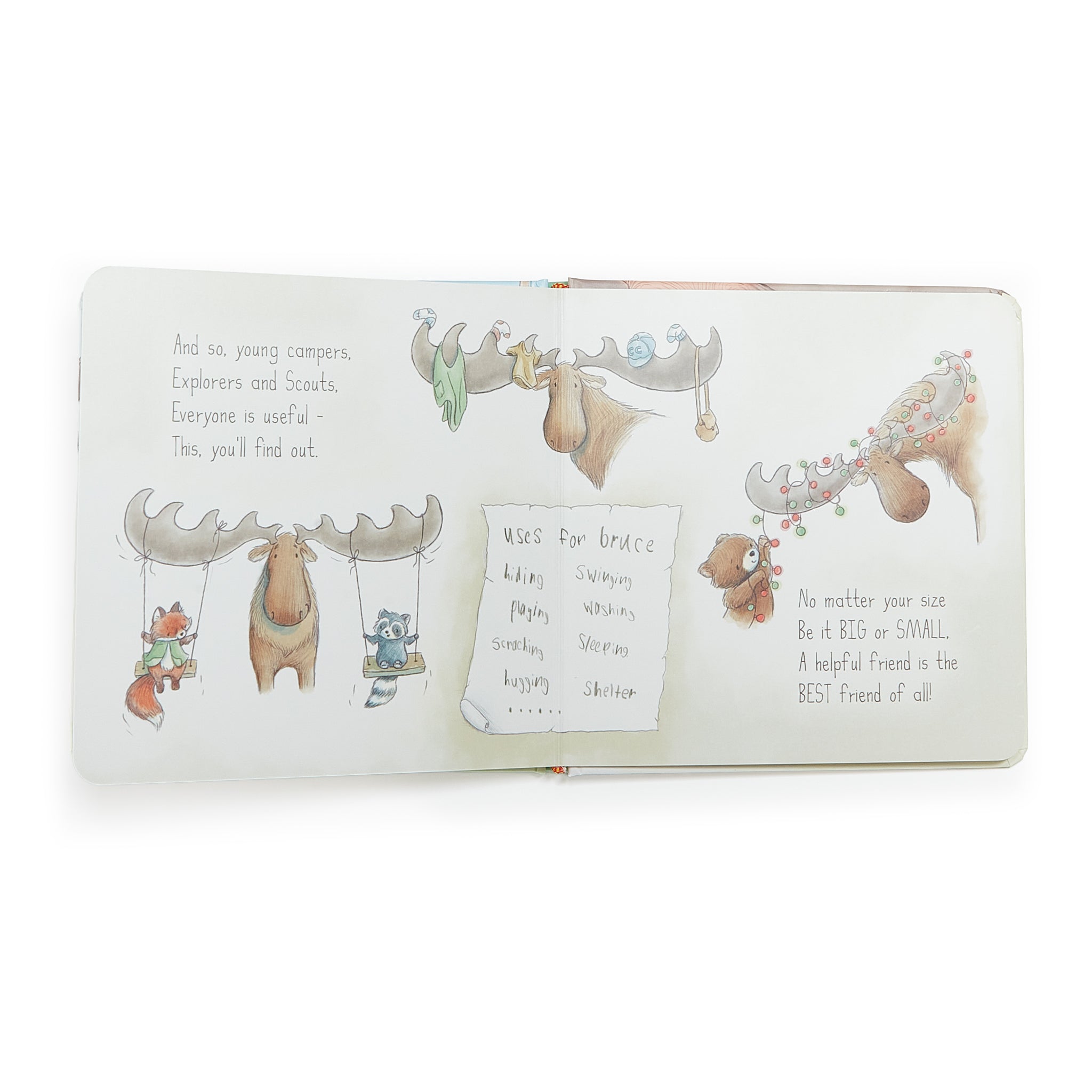 100312: Camp Cricket Board Book