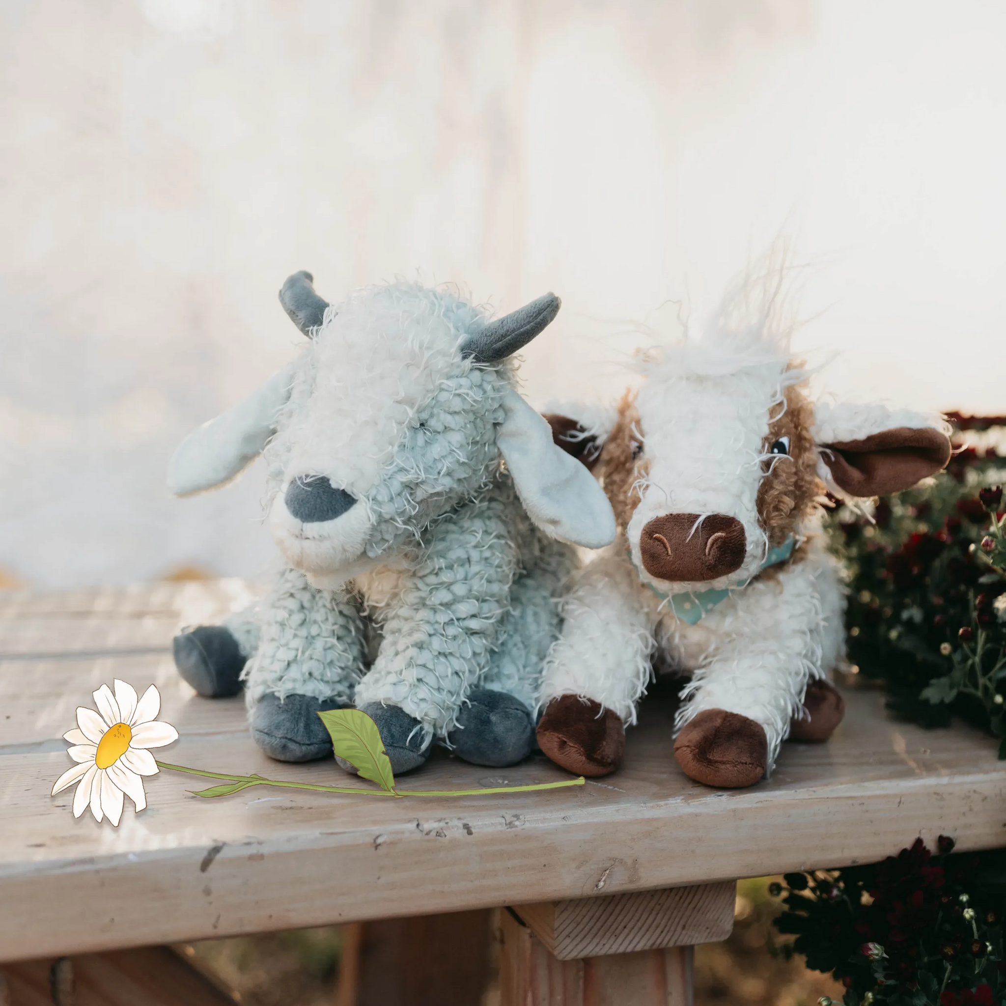190622: Billy Goat