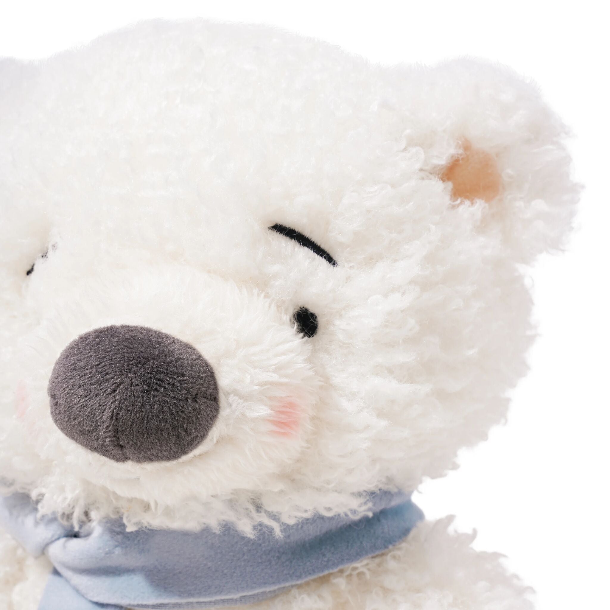190129: Boris The Polar Bear
