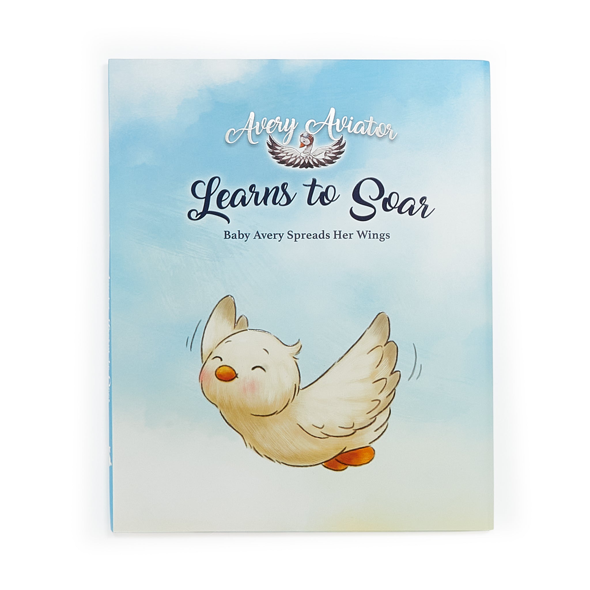 190287: Avery Aviator Learns to Soar Story Book