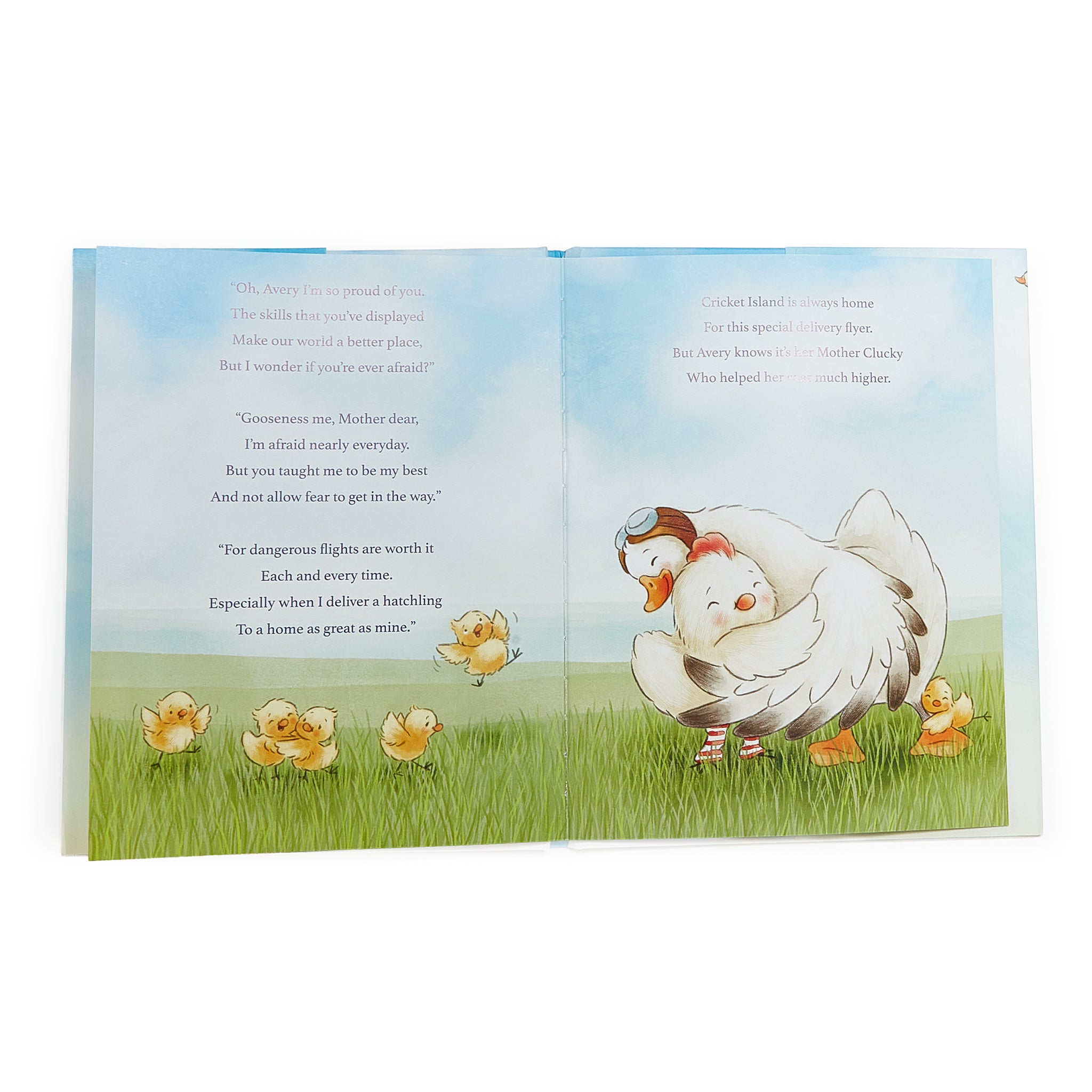 190287: Avery Aviator Learns to Soar Story Book