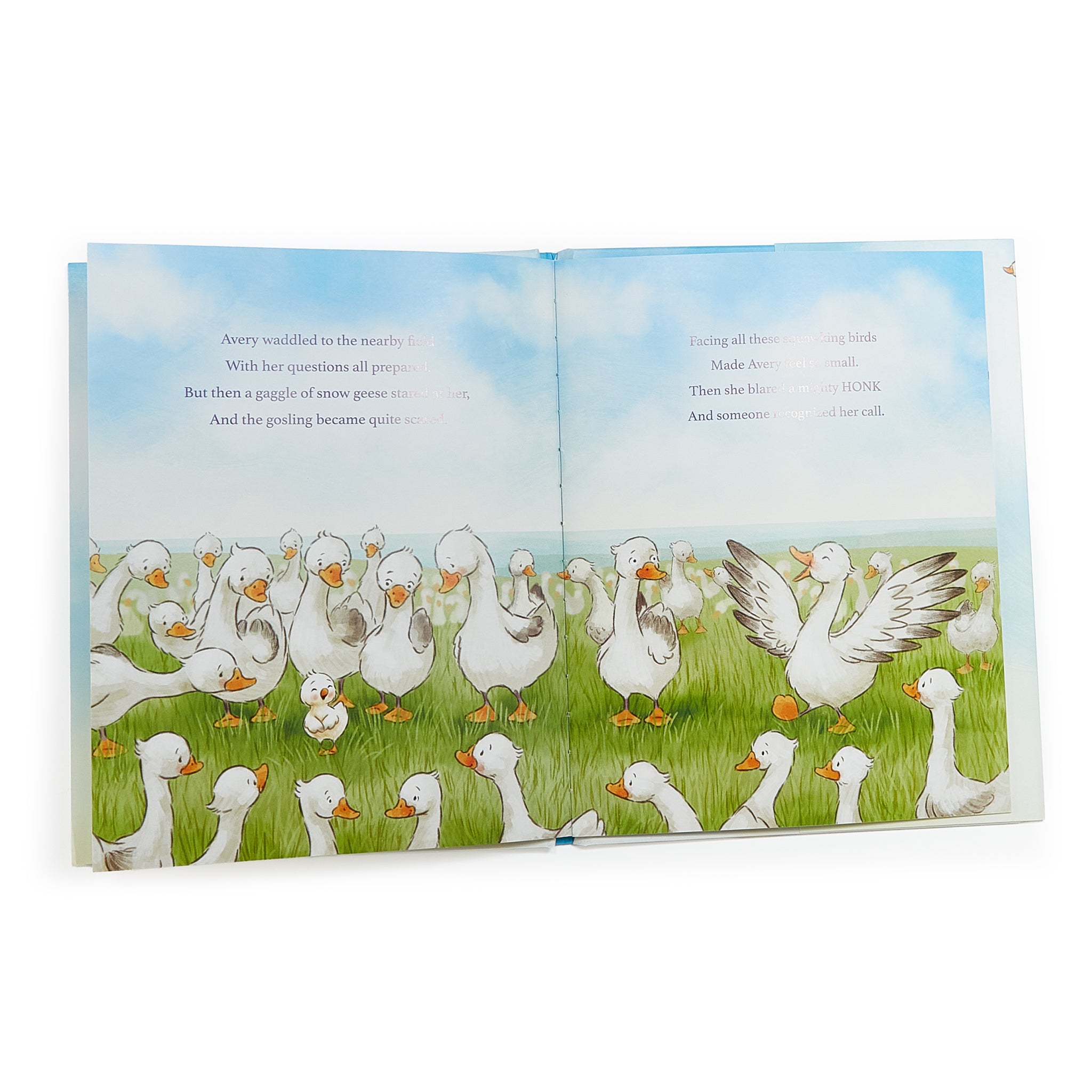 190287: Avery Aviator Learns to Soar Story Book