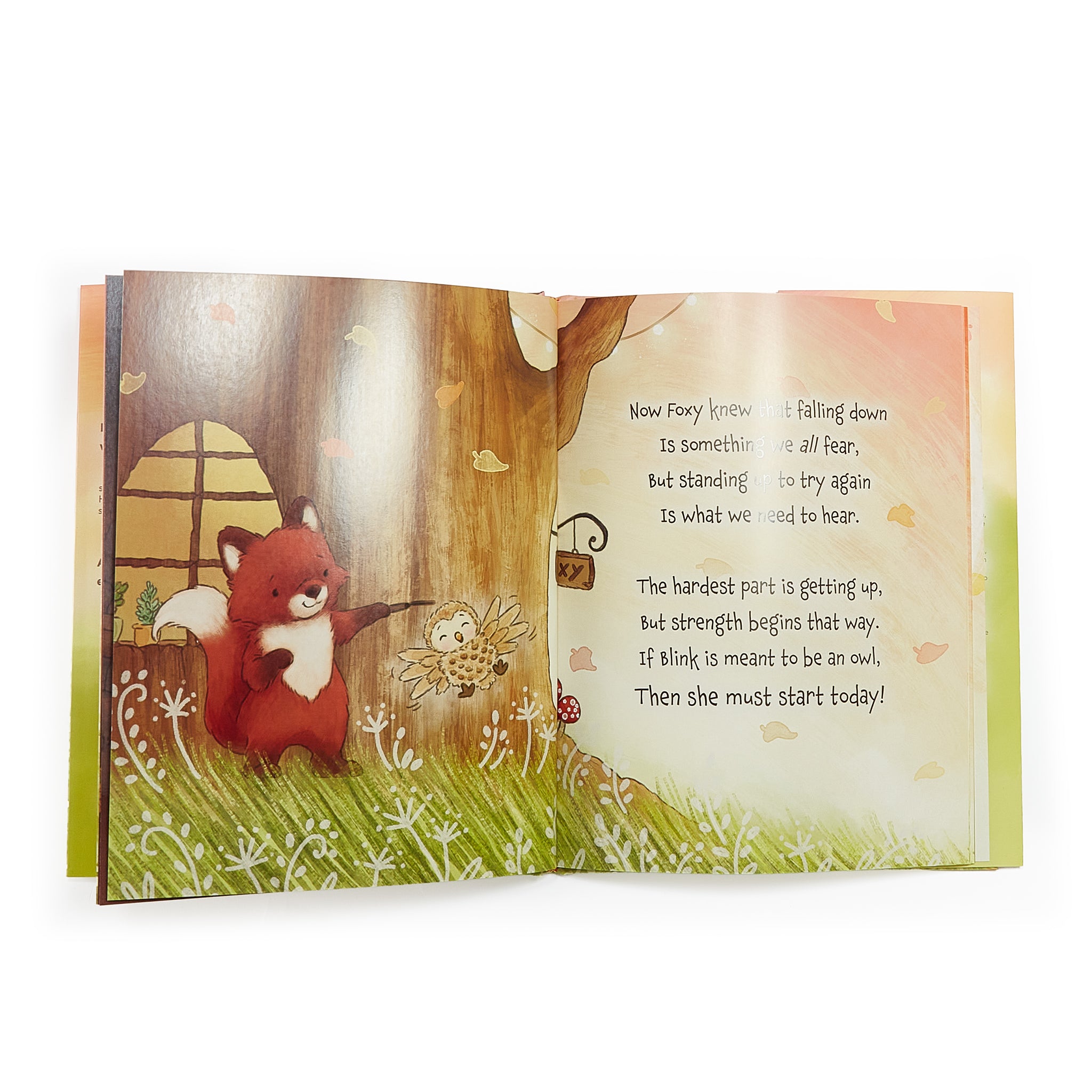 190632: Foxy & Blink Flying Lesson Story Book