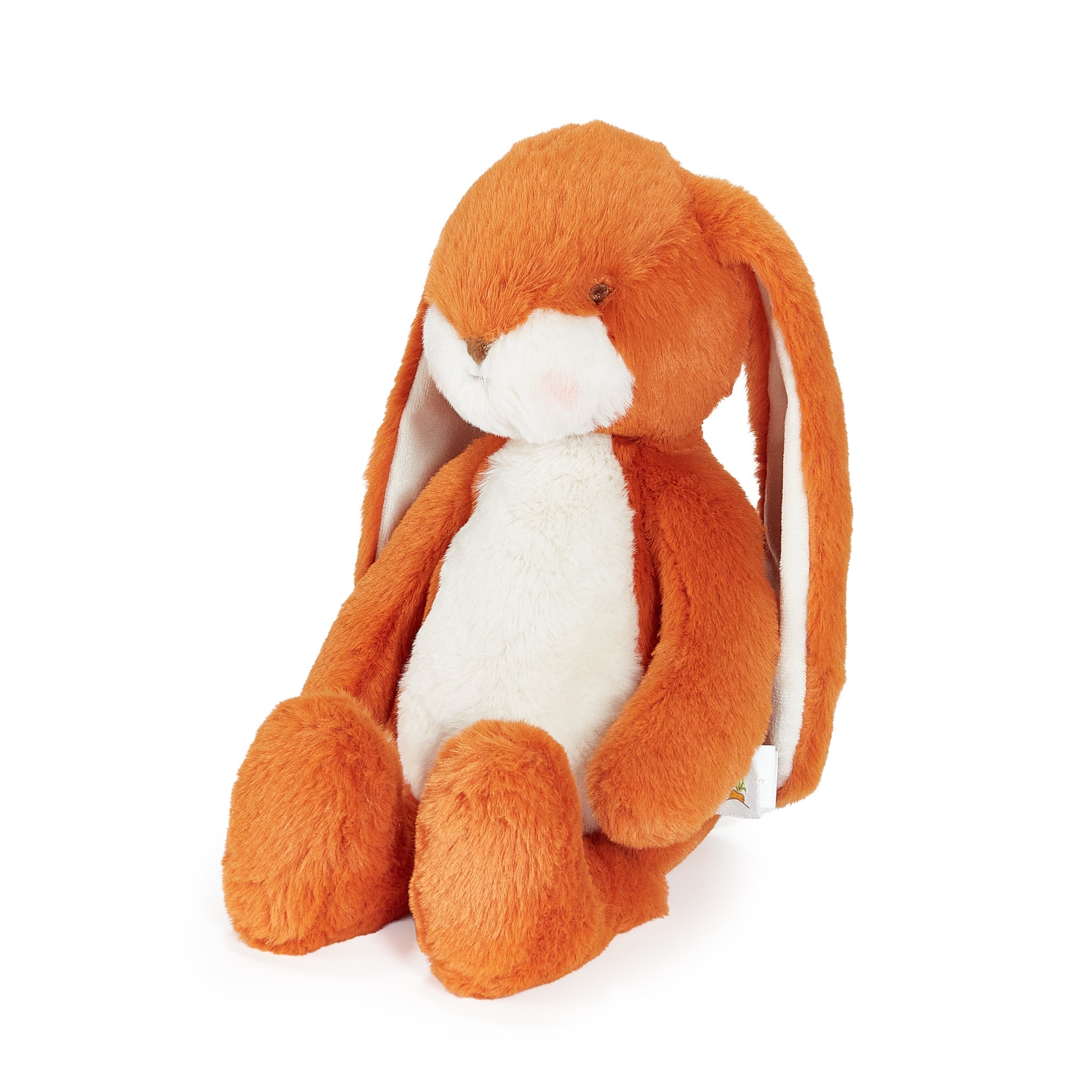 Orange bunny stuffed animal on white background