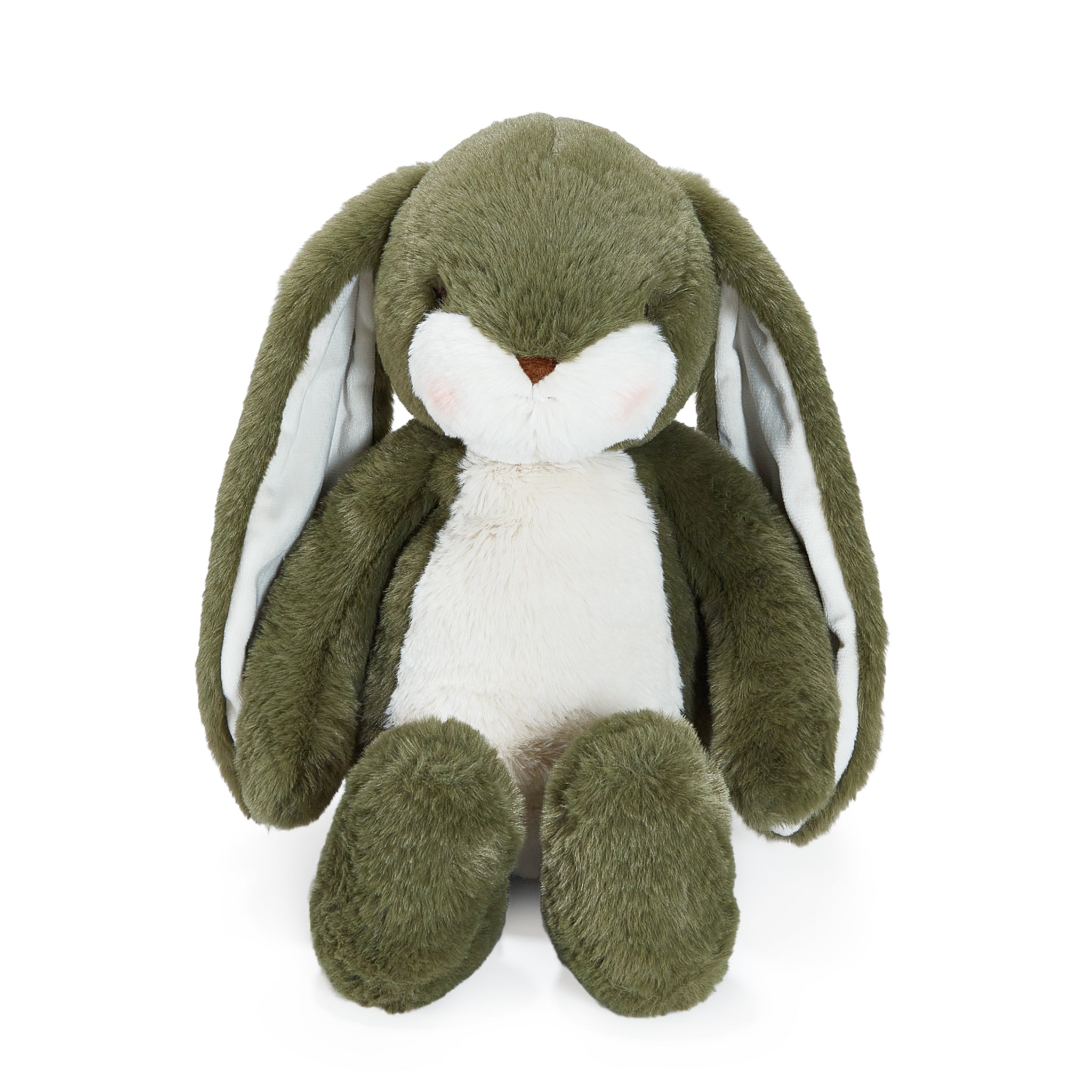 Green plush bunny toy on a white background