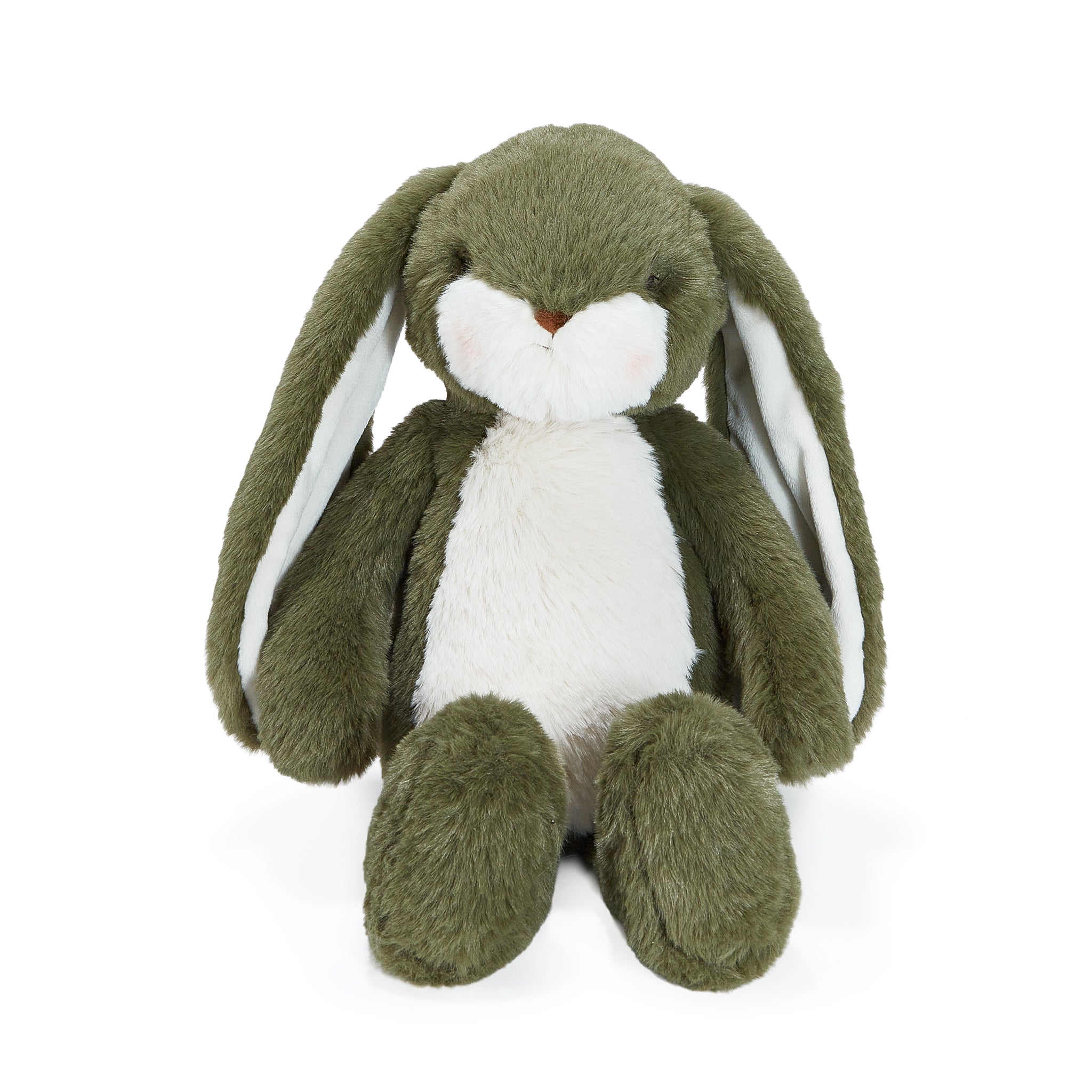 Green plush bunny toy on a white background