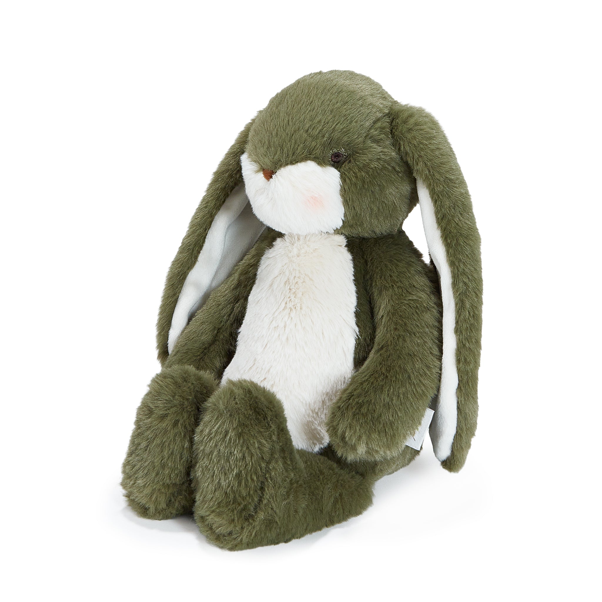 Green plush bunny toy on a white background