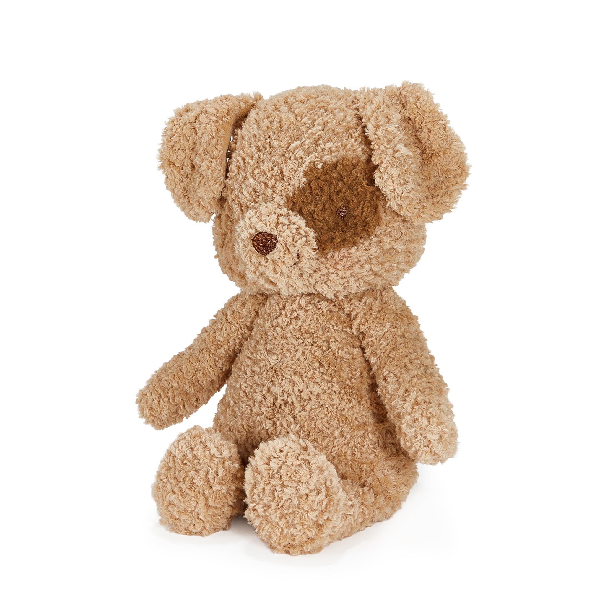 Brown plush dog on a white background