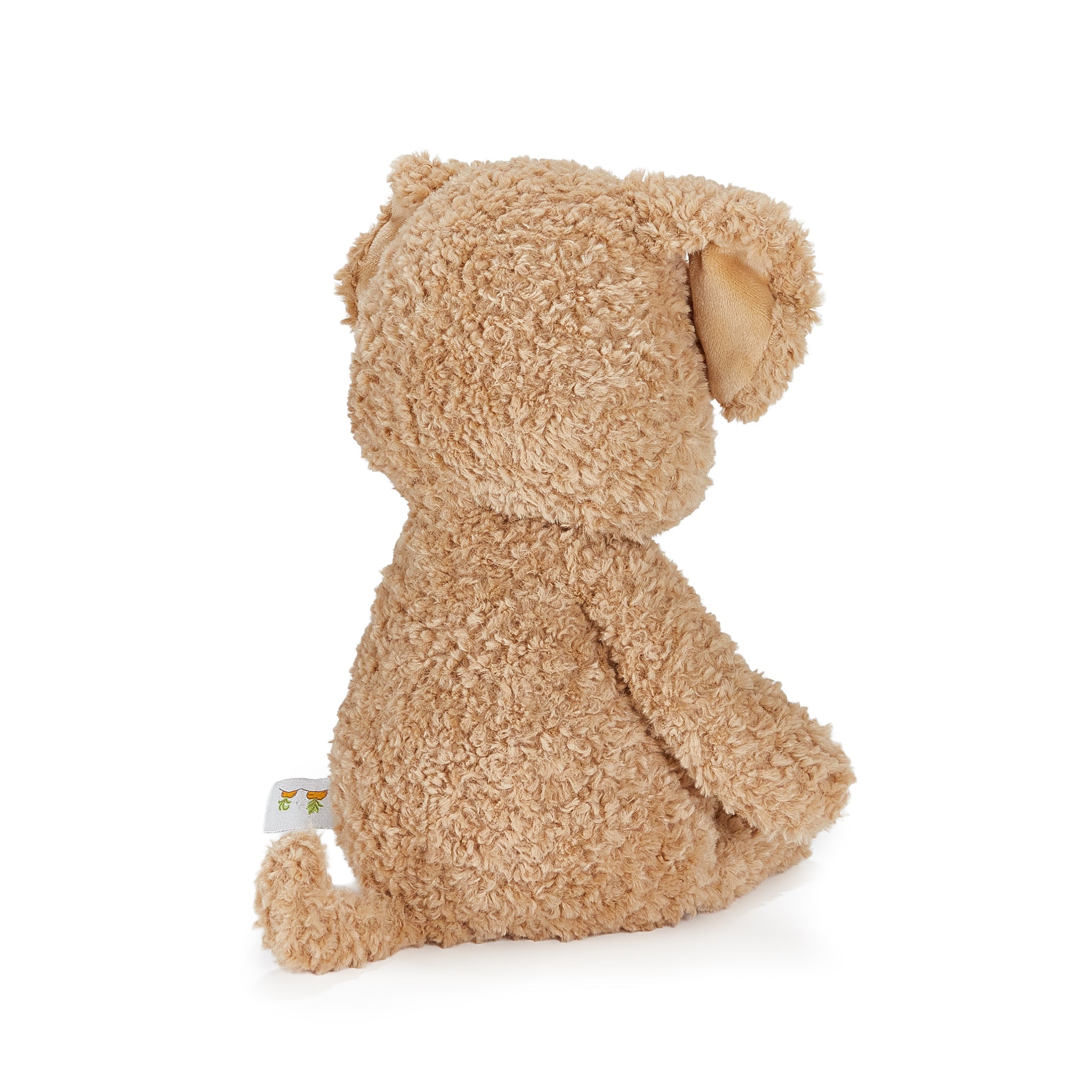 Brown plush dog on a white background