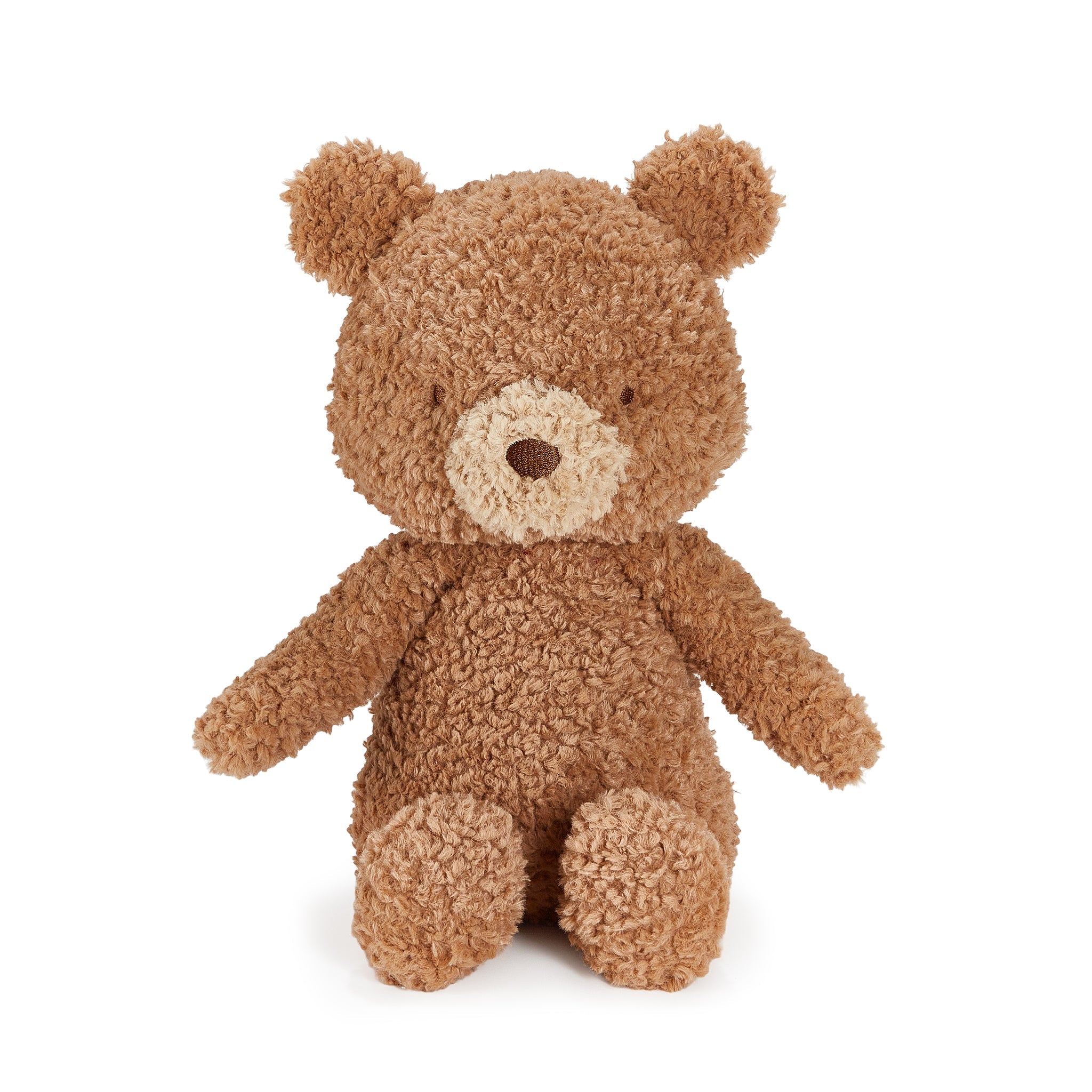 Brown teddy bear on a white background