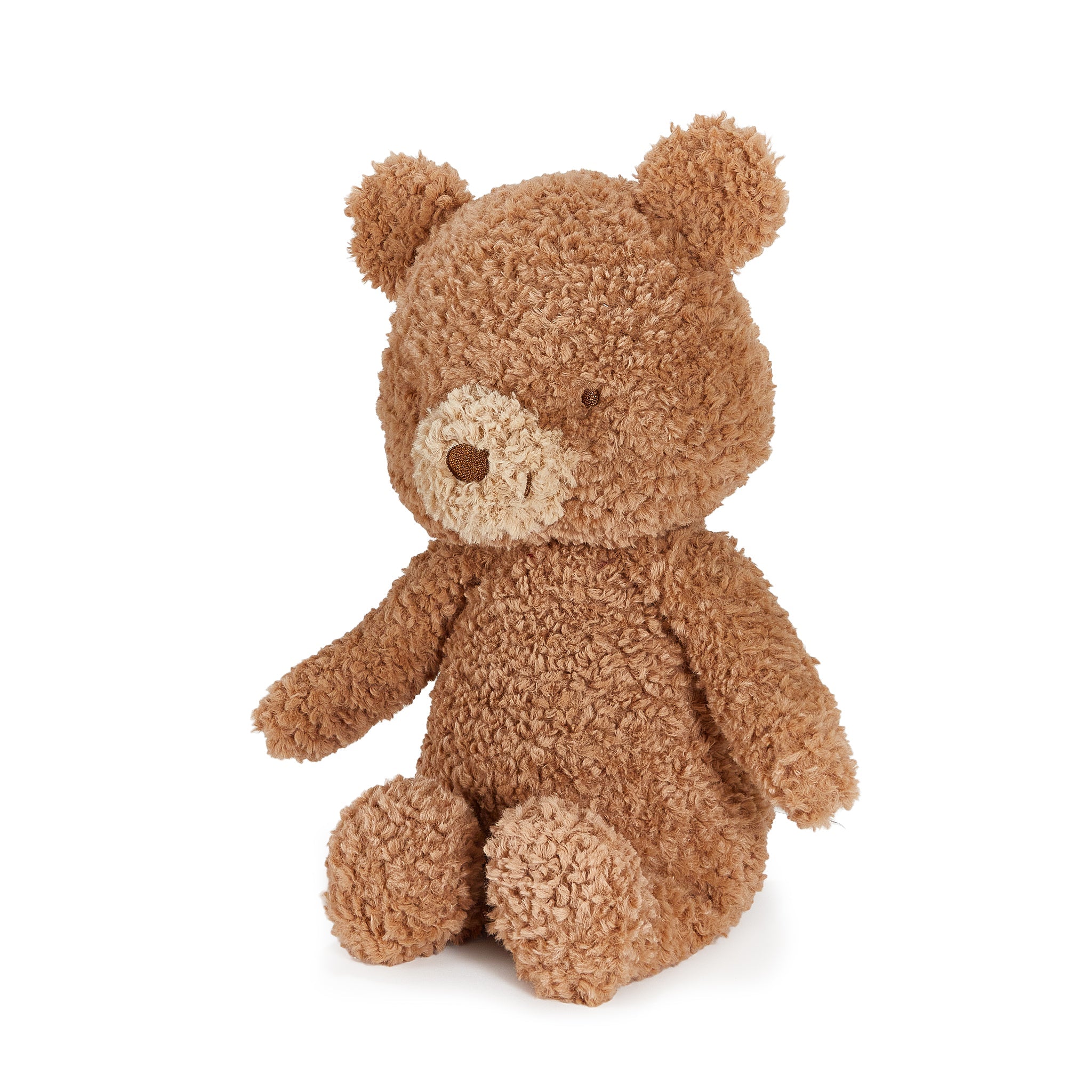 Brown teddy bear on a white background