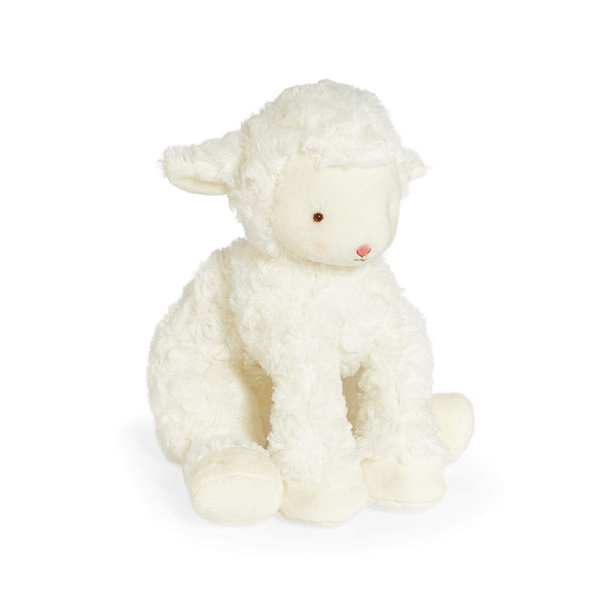 270029: Kiddo the Lamb