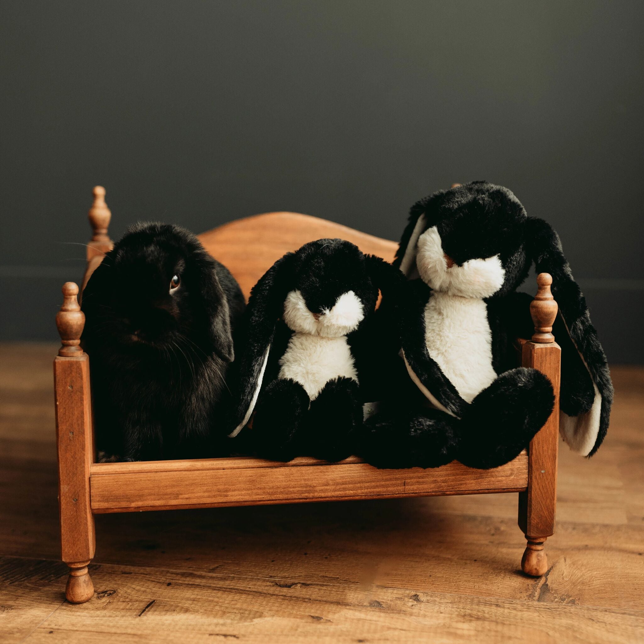 190647: Little 12" Floppy Nibble Bunny – Black