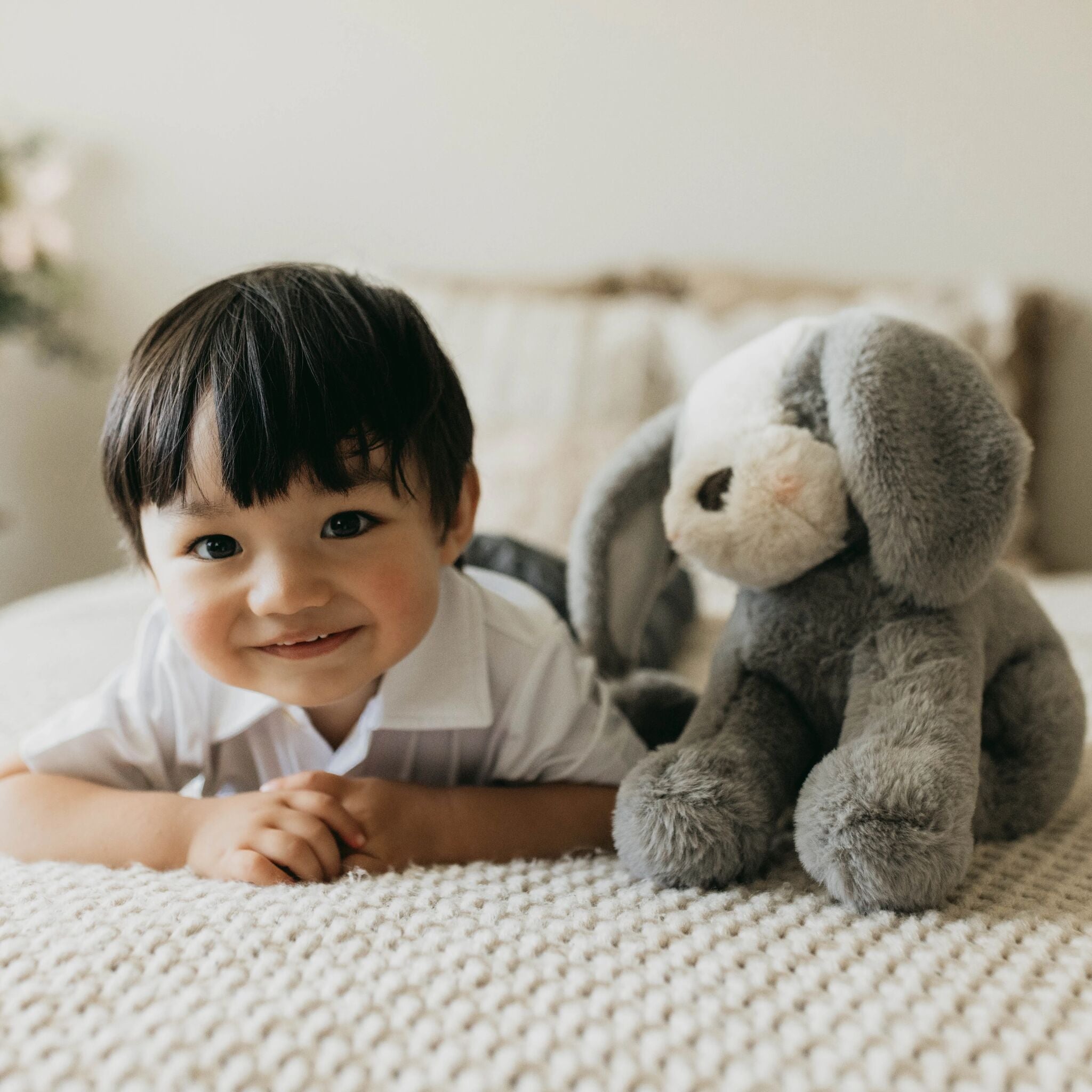 190564: Sweet Floppy Mutt - Steel