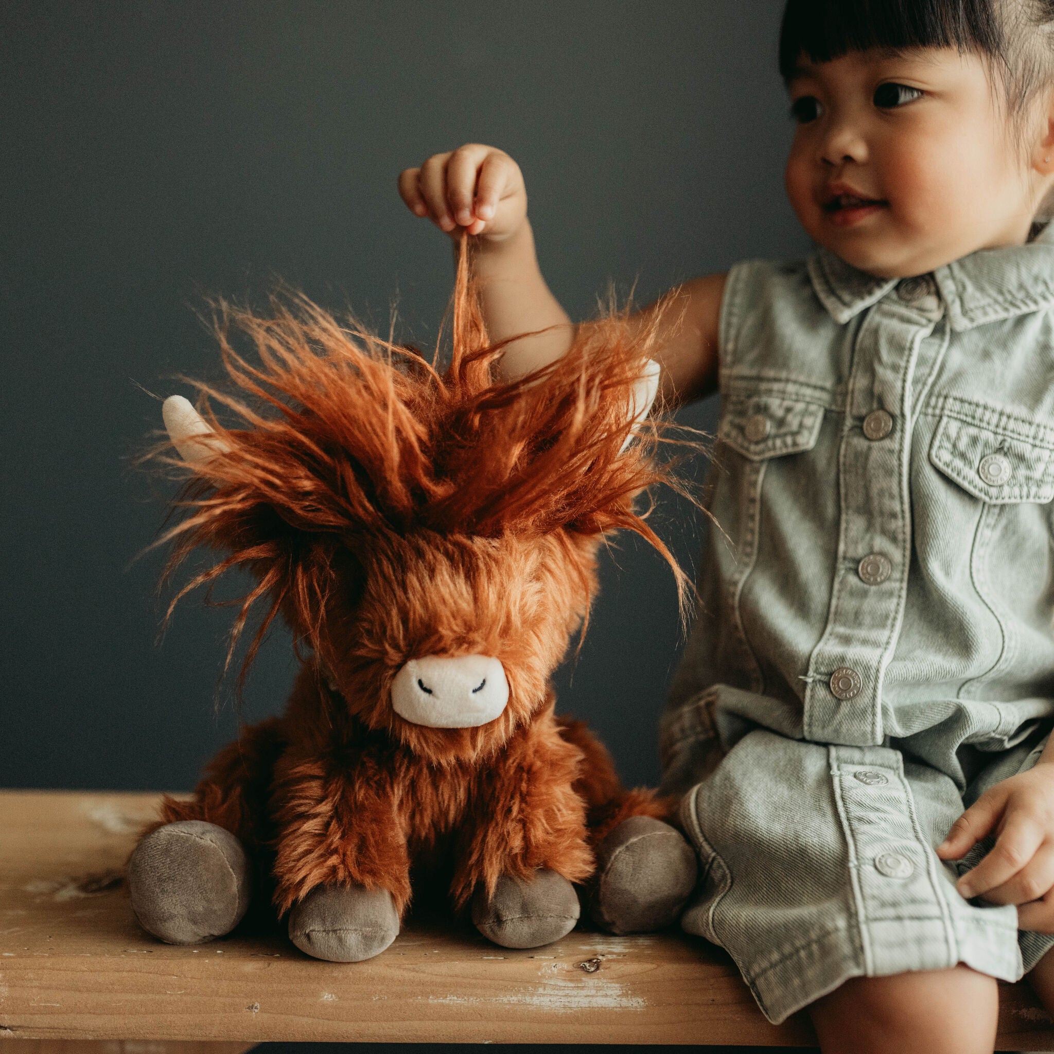 190511: Hamish the Highland Cow