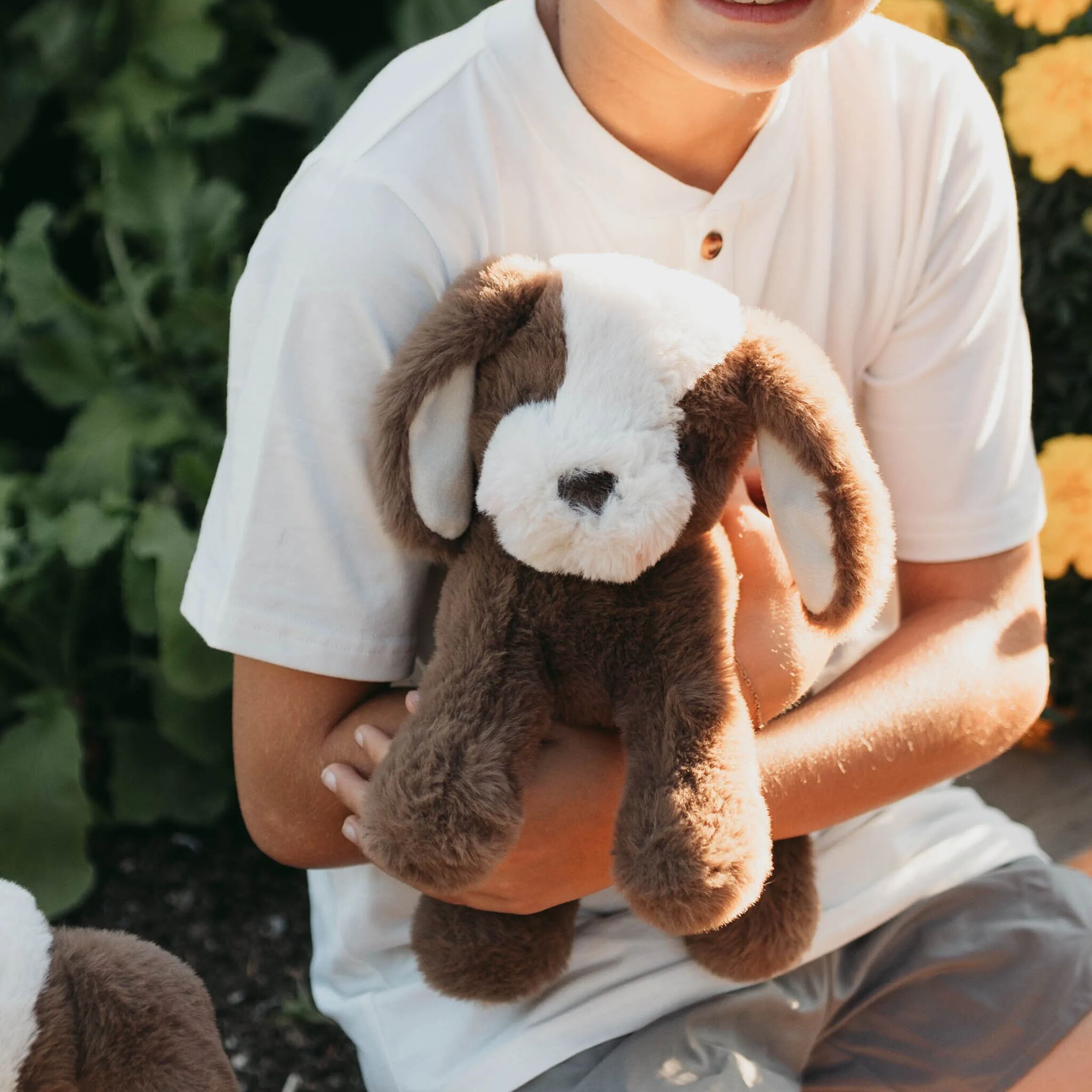 190643: Little Floppy Mutt - Cocoa