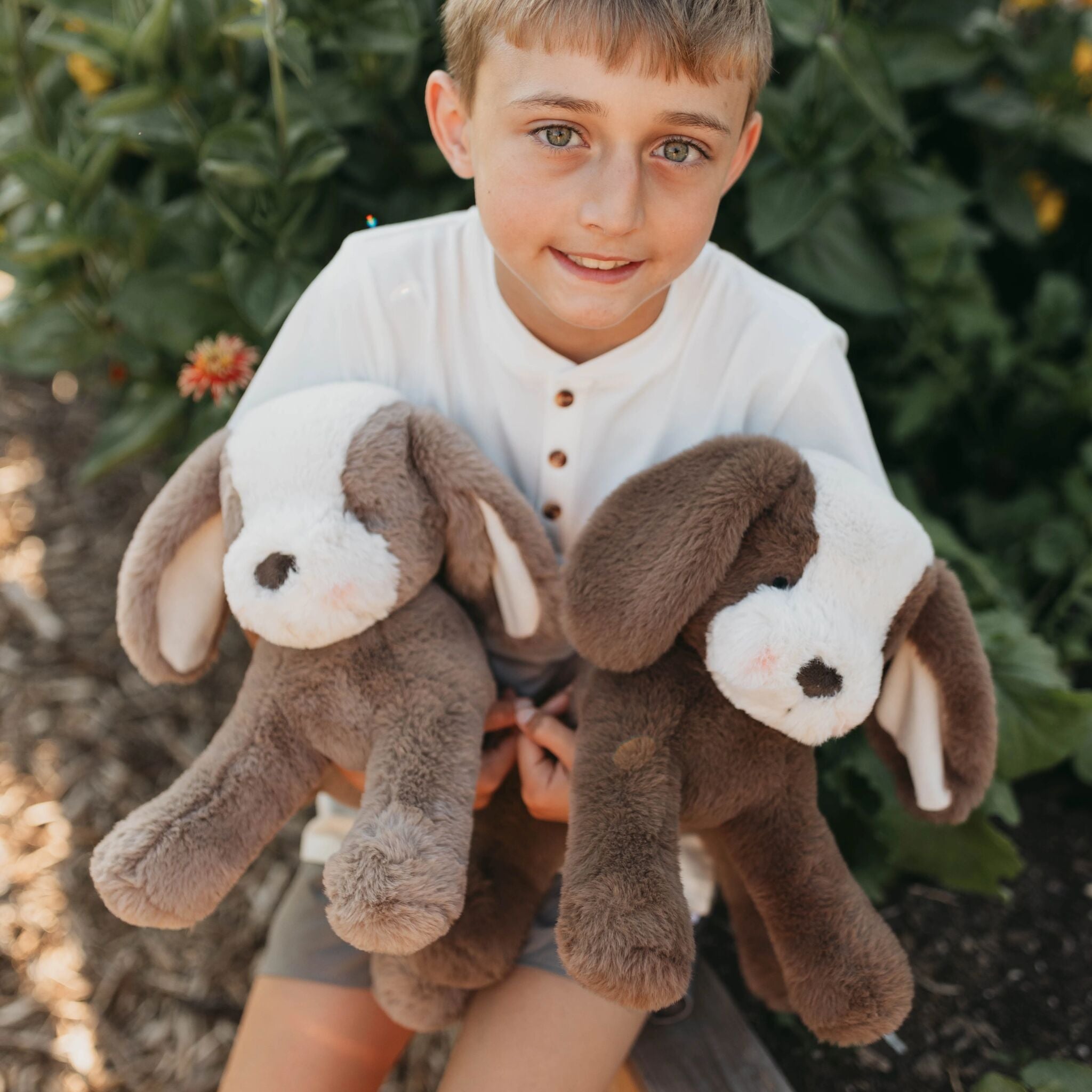 190562: Sweet Floppy Mutt - Cocoa