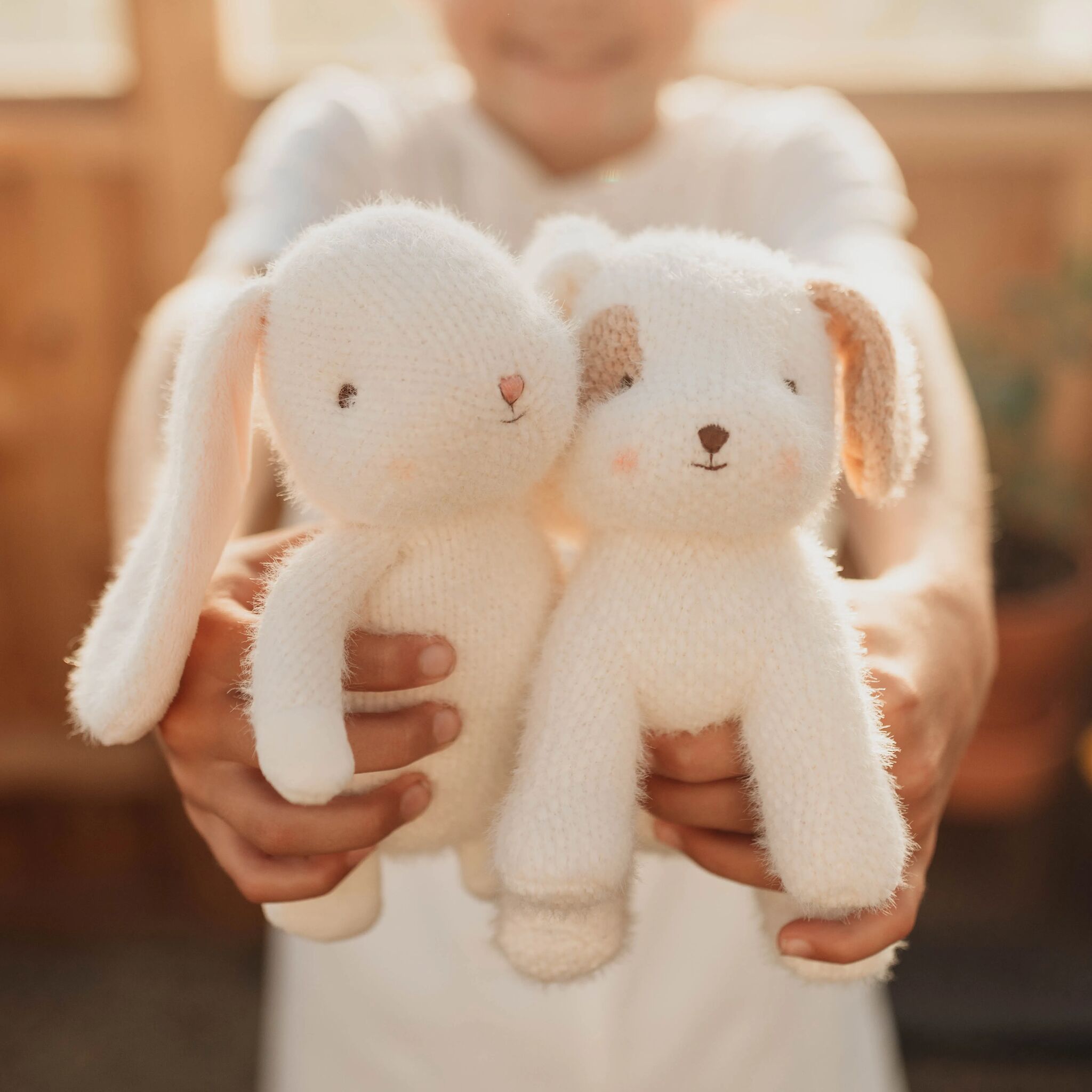 190539: Baby Bun Bun