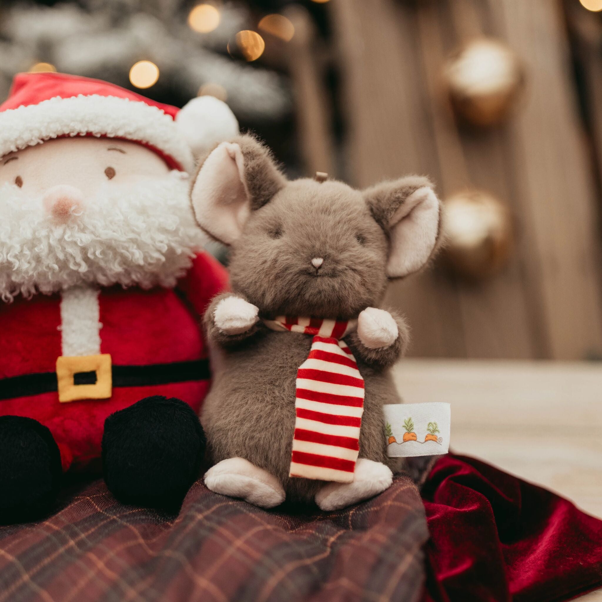 190428: Tidy the Mouse