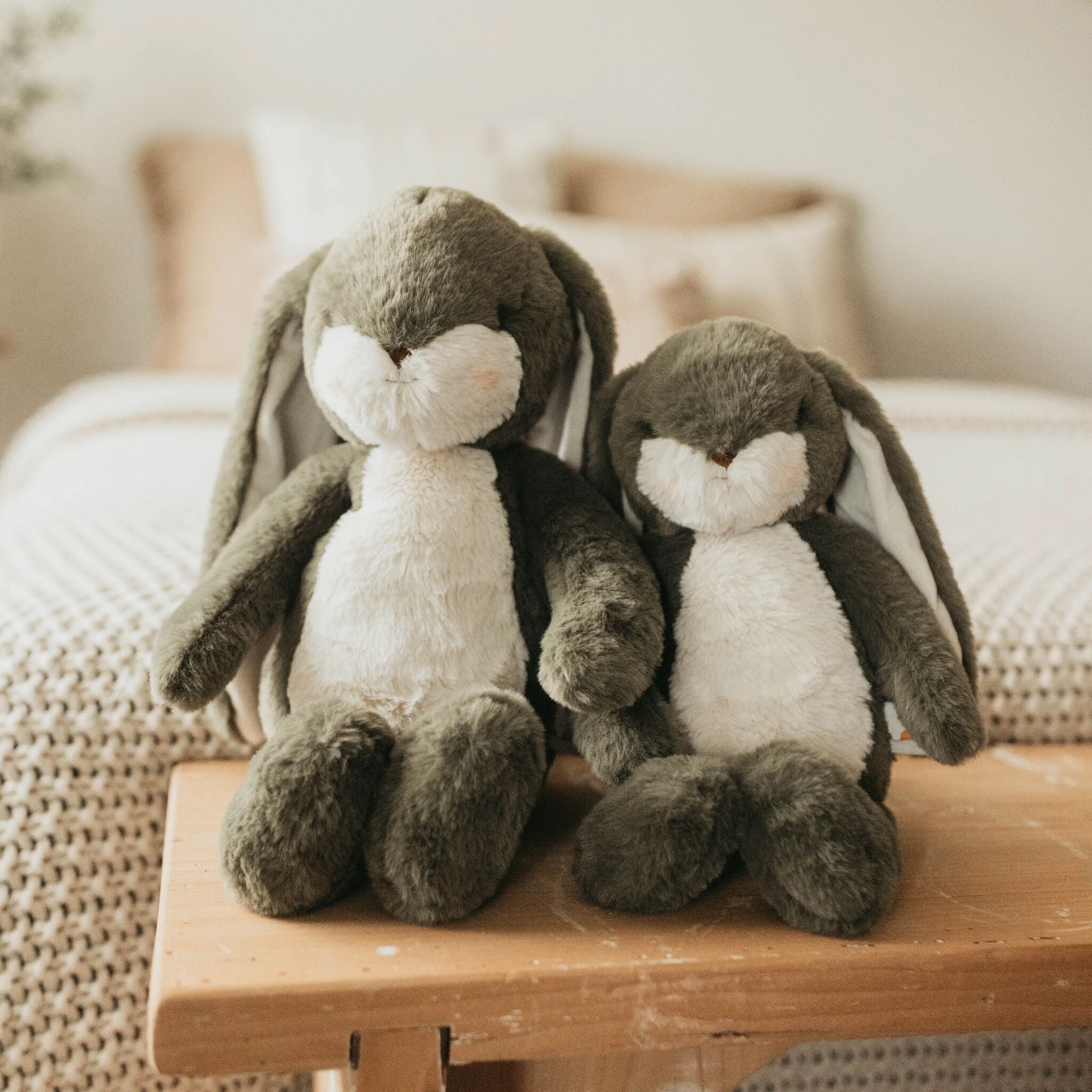 190734: Sweet 16" Floppy Nibble Bunny – Pine