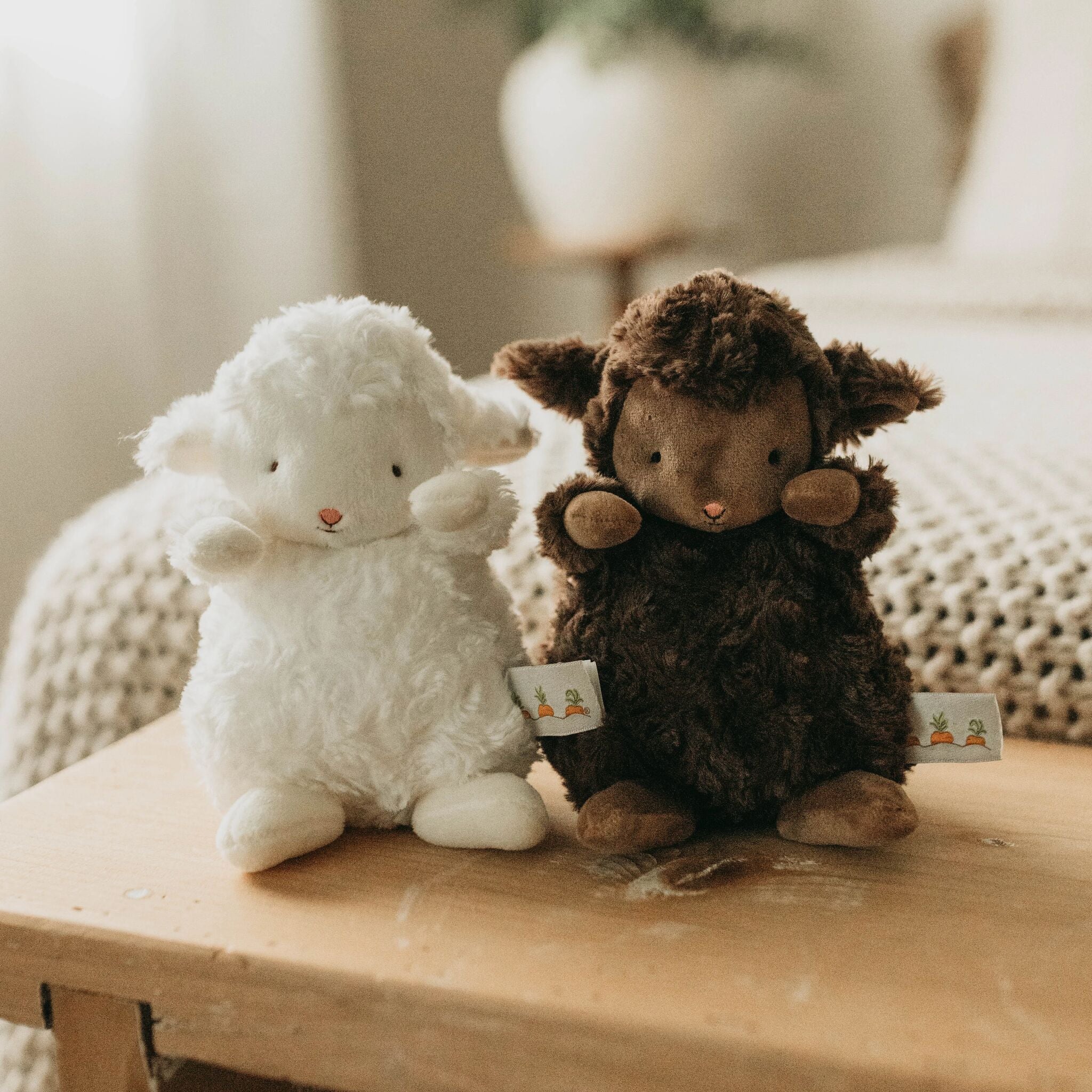 824441: Wee Kiddo the Lamb - Cocoa