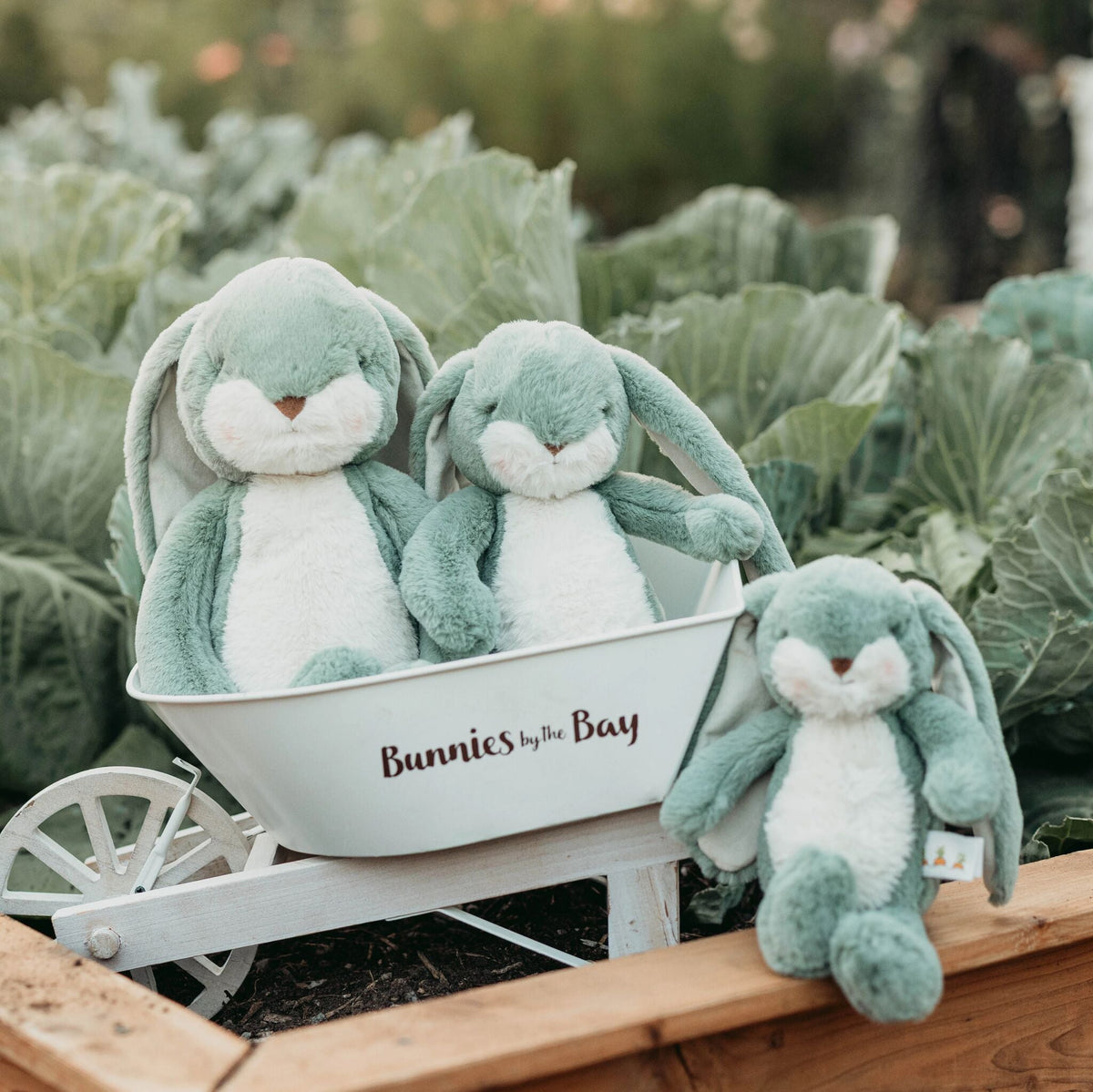 Three plush bunny toys in a soft sage green and white color are displayed in a garden-themed setting. Two bunnies sit inside a white decorative wheelbarrow labeled 'Bunnies by the Bay', while a third bunny sits on the wooden border next to it.