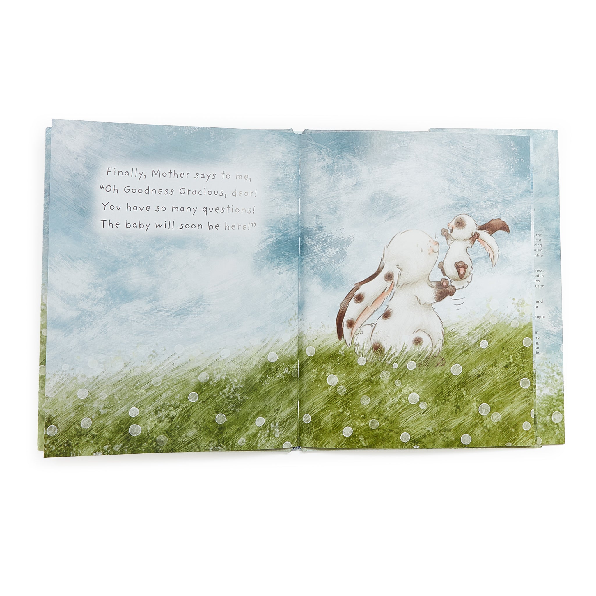 730019: Who Will Our New Baby Be? Story Book