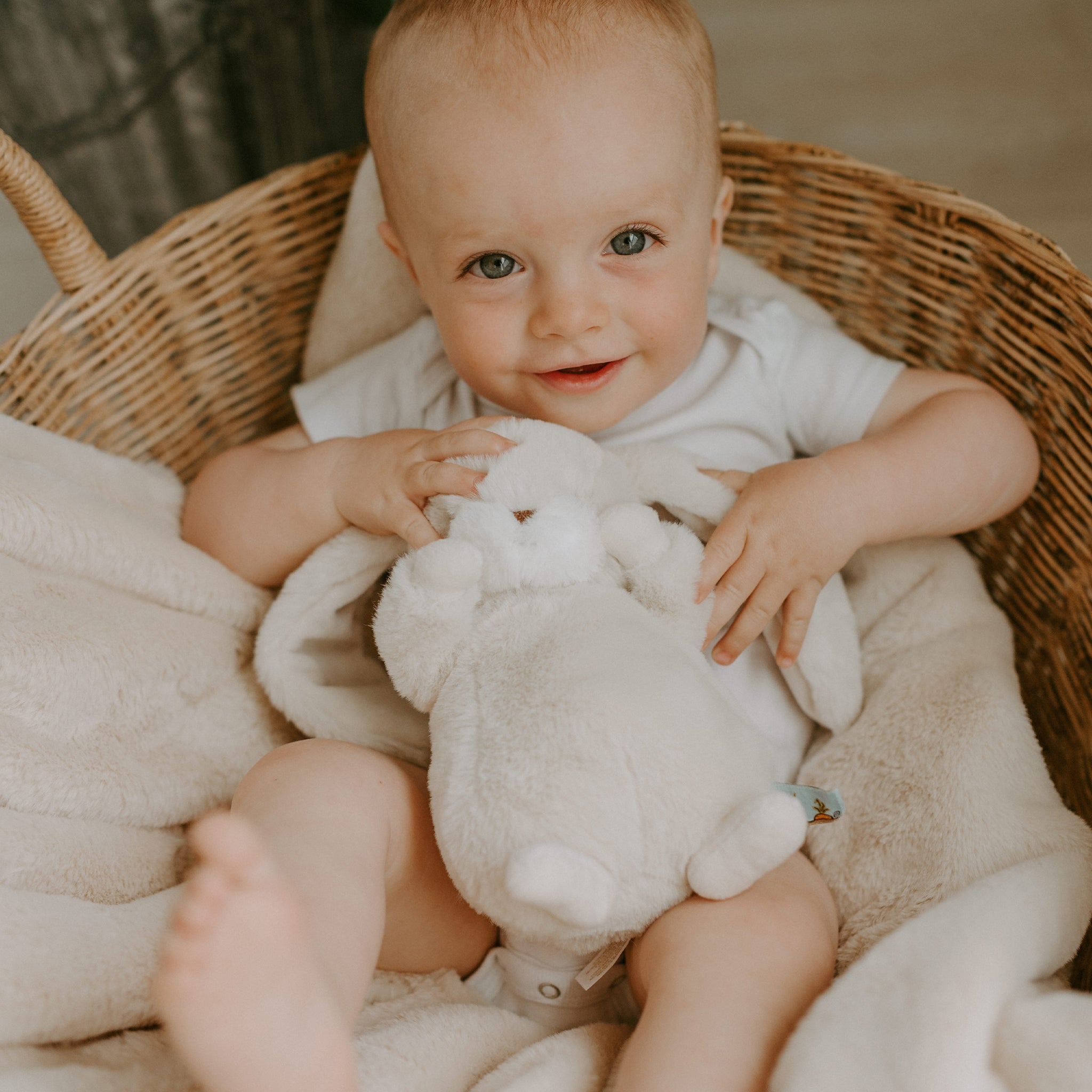 100420: Tiny Nibble 8" Bunny Cream