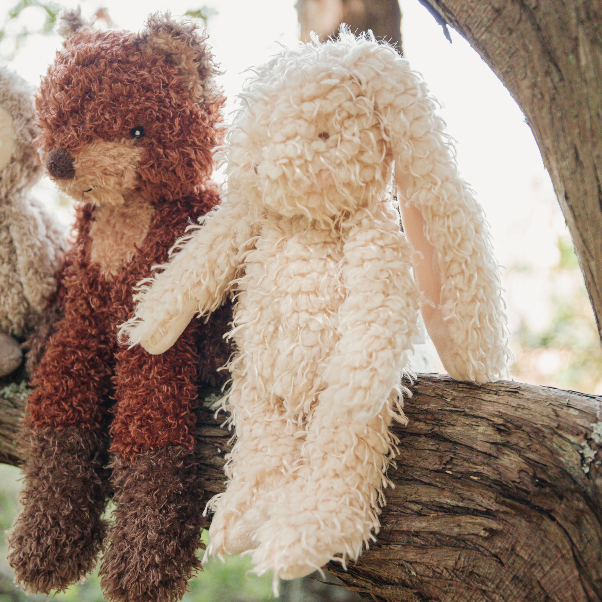 100307: Harey the Bunny