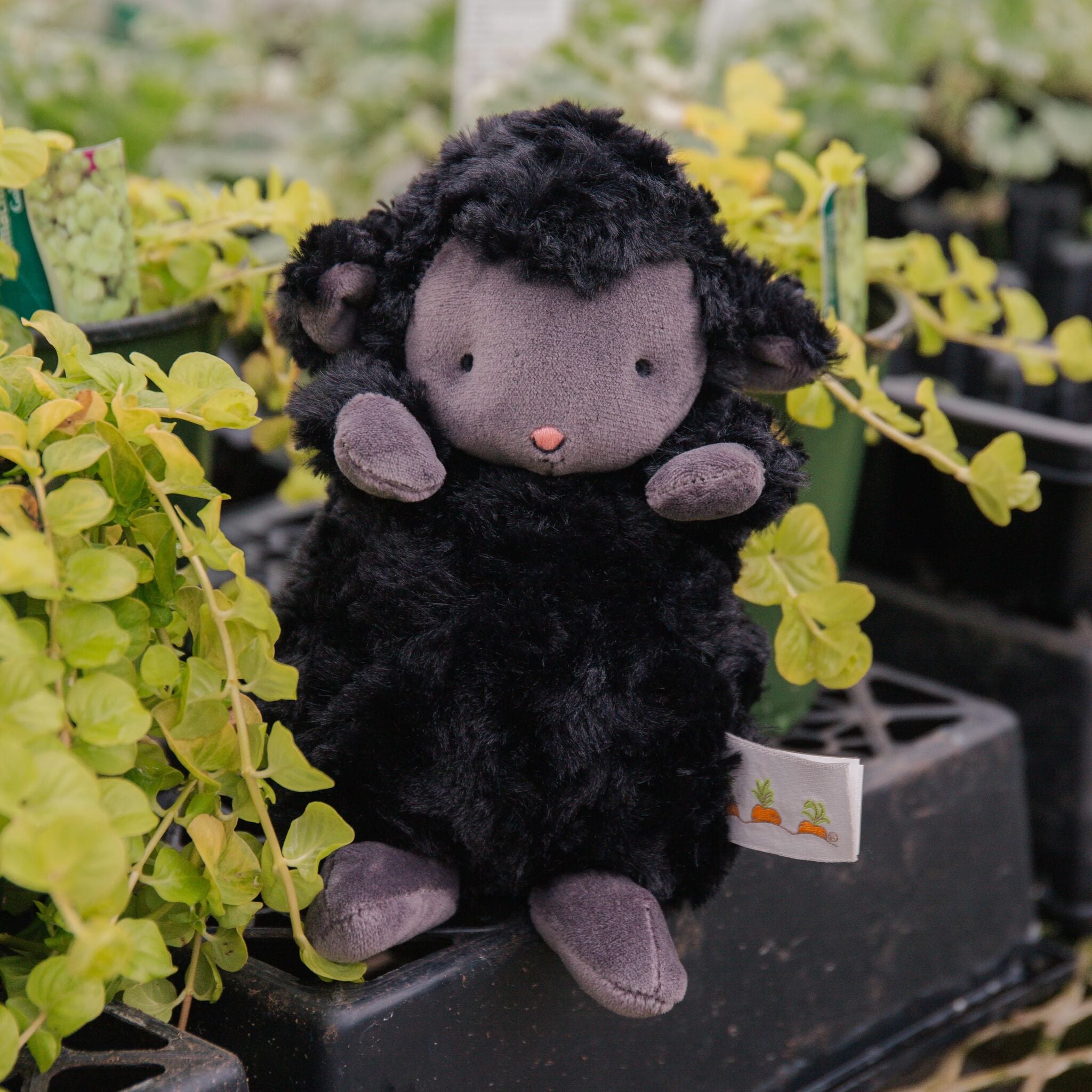 Wee Kiddo - Black | Wholesale Stuffed Animals | Bunnies By The Bay