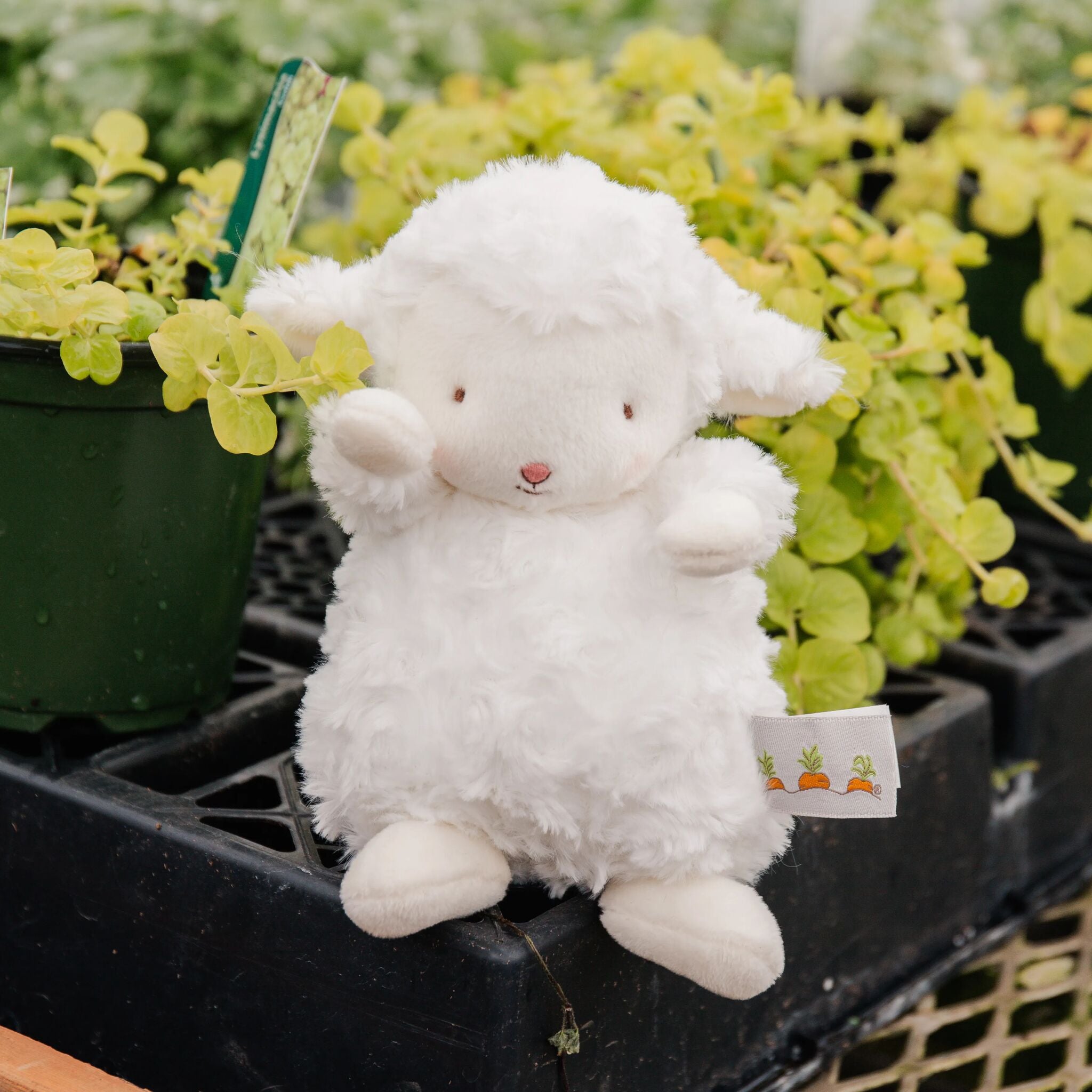Wee Kiddo the Lamb | Wholesale Stuffed Animals | Bunnies By The Bay