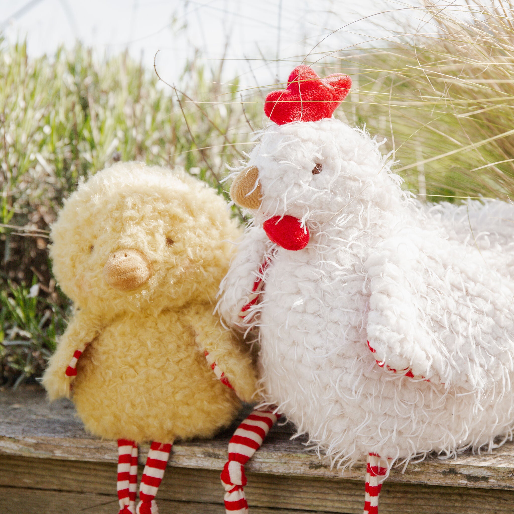 190041: Wee Clucky Little Chicken