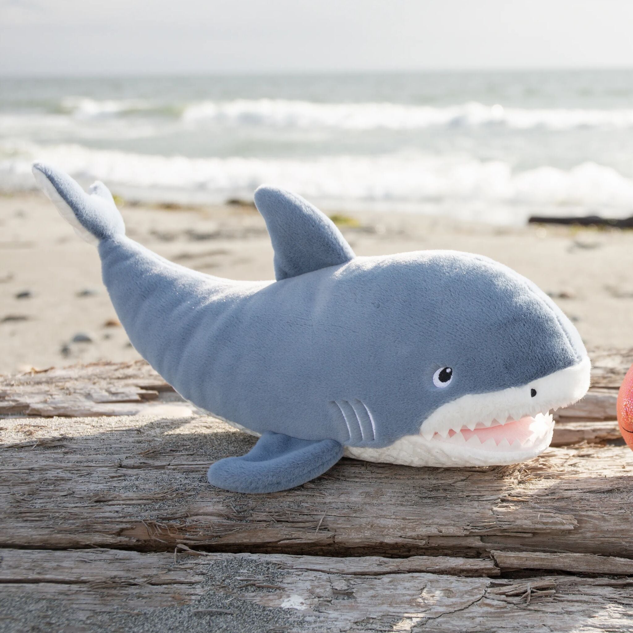 190629: Axel the Shark