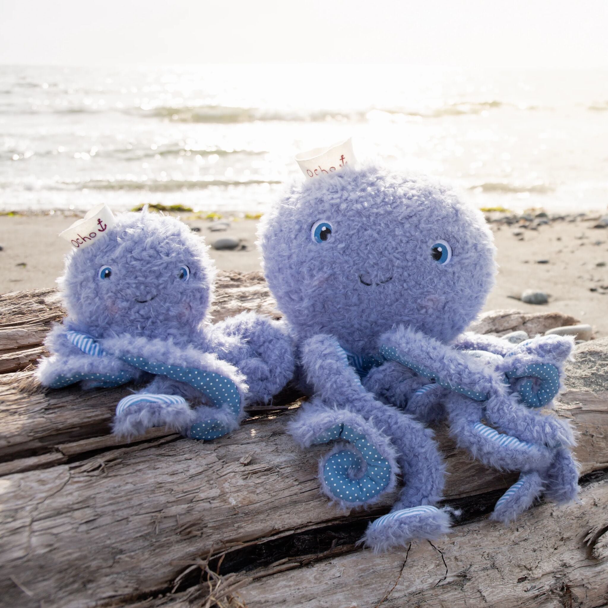 190441: Big Ocho the Octopus