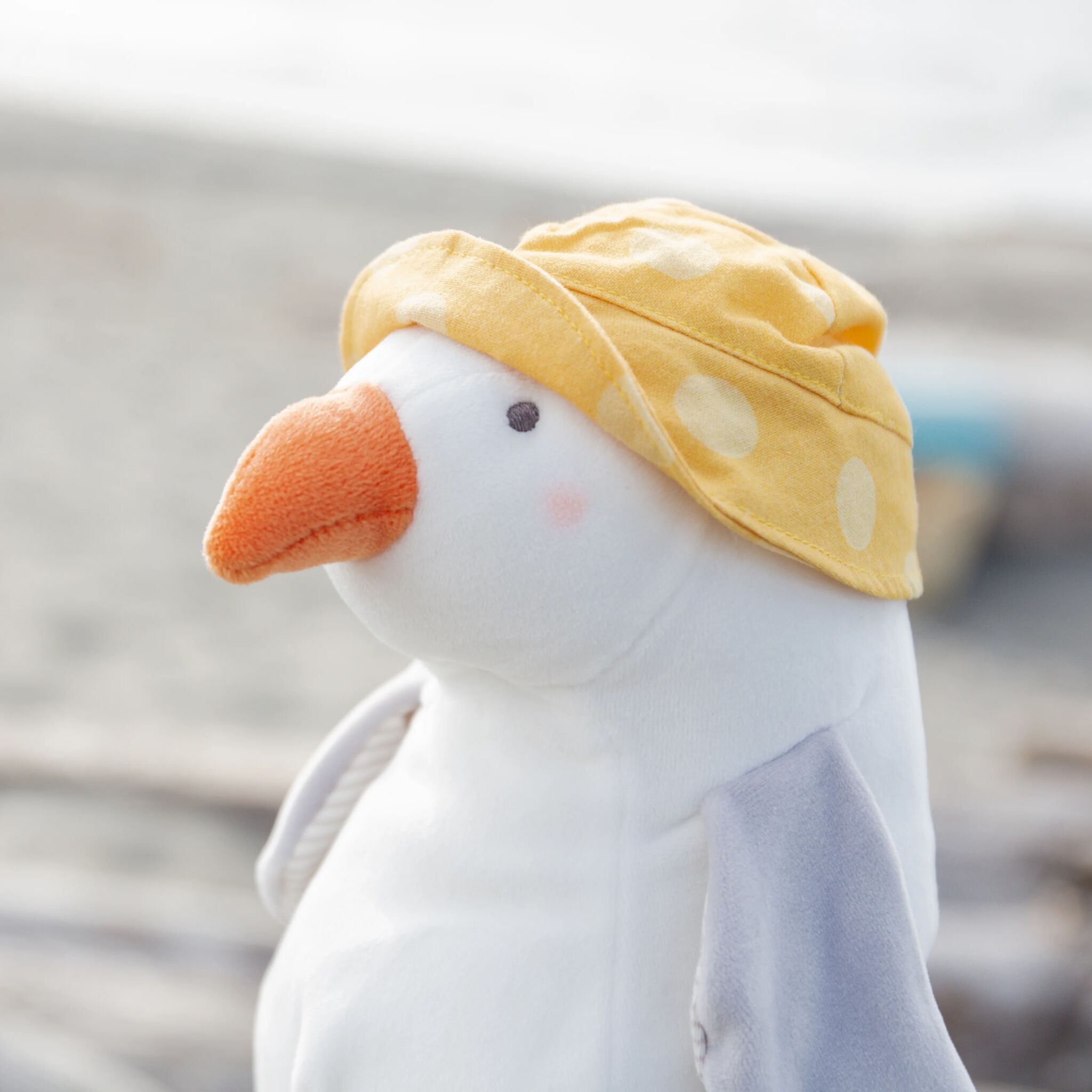 106058: Gulliver Seagull