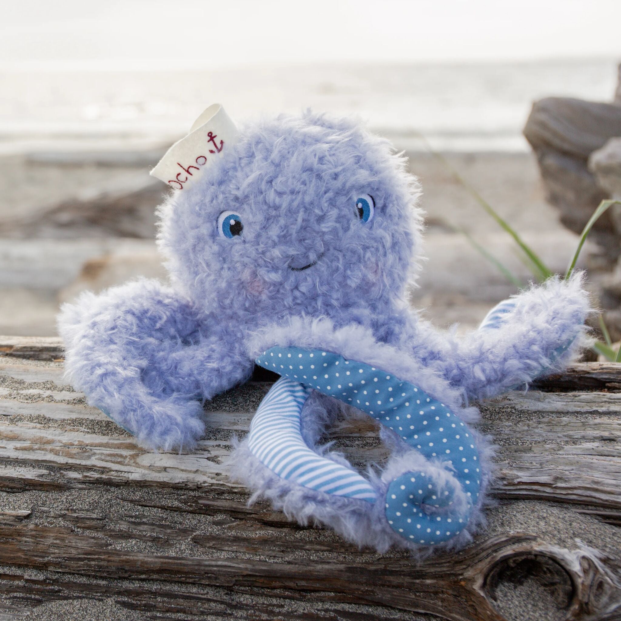 100019: Ocho the Octopus
