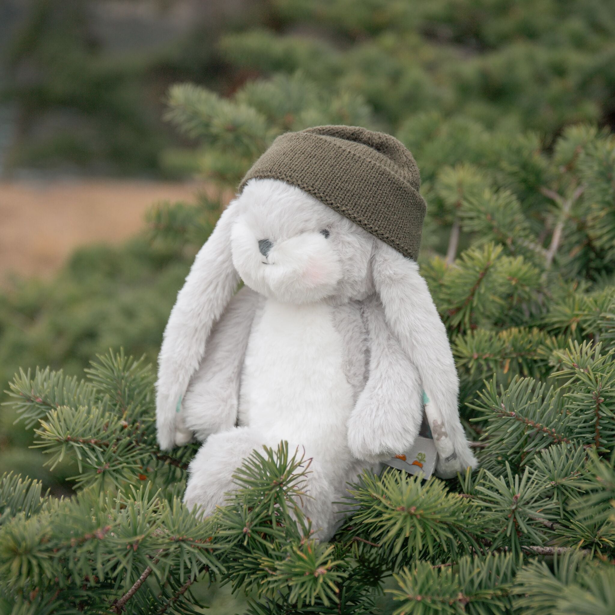 207413: Cascadia PNW - Wee 10" Floppy Nibble Bunny