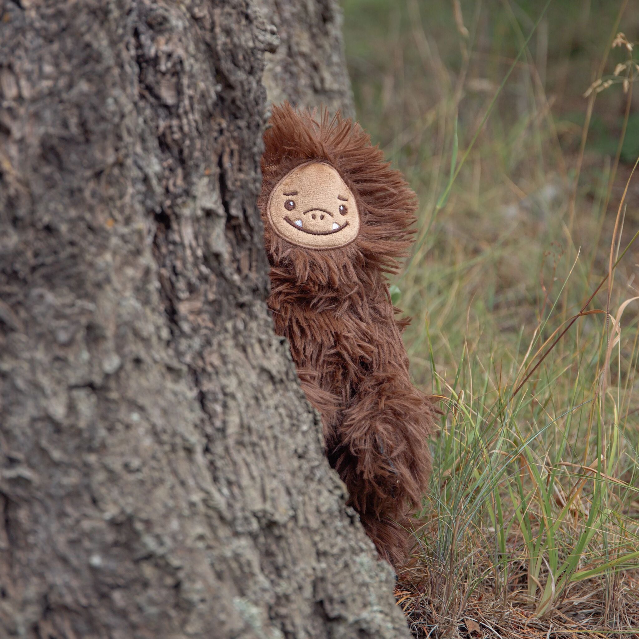 190646: Cascadia PNW - Sully the Sasquatch