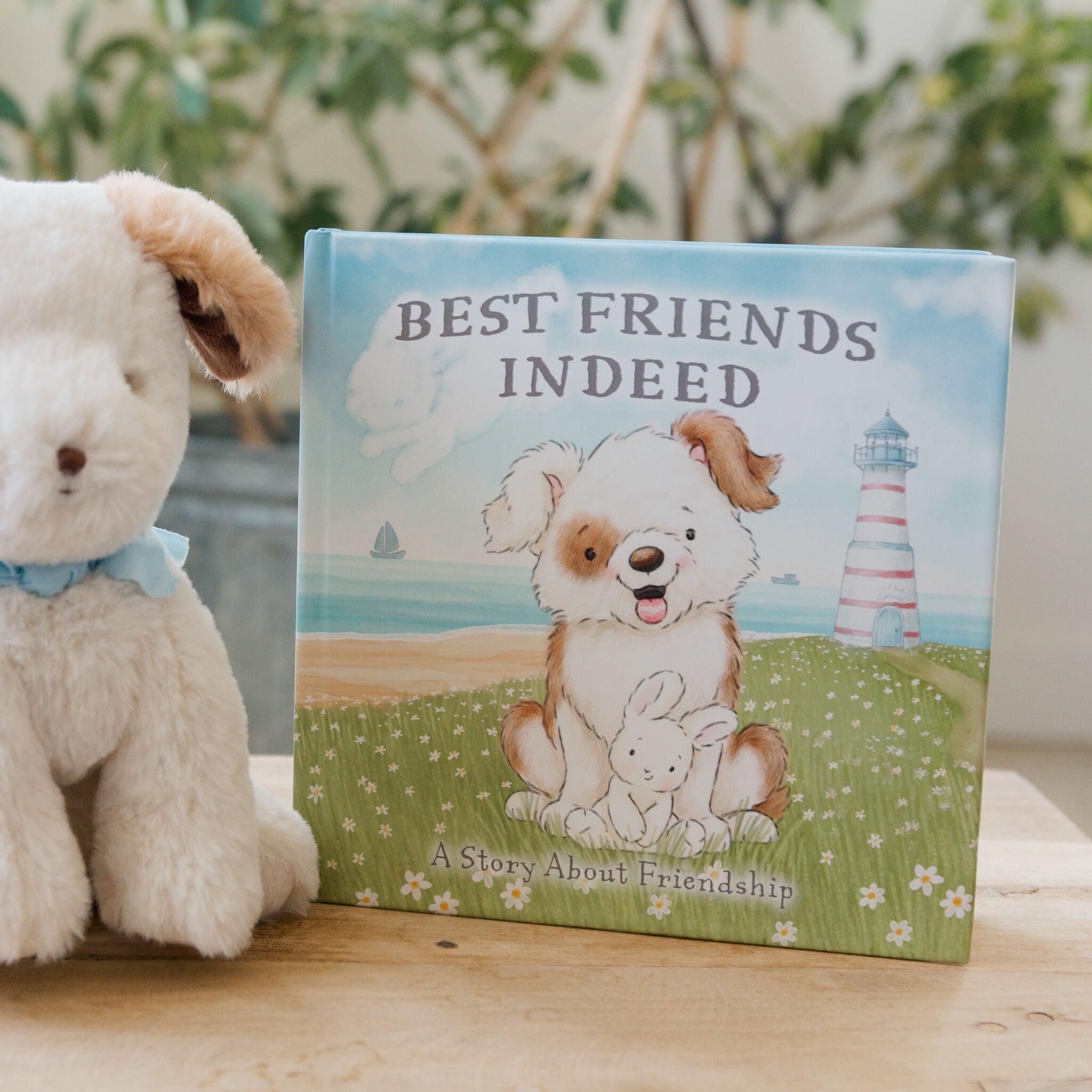 190582: Best Friends Indeed - Board Book