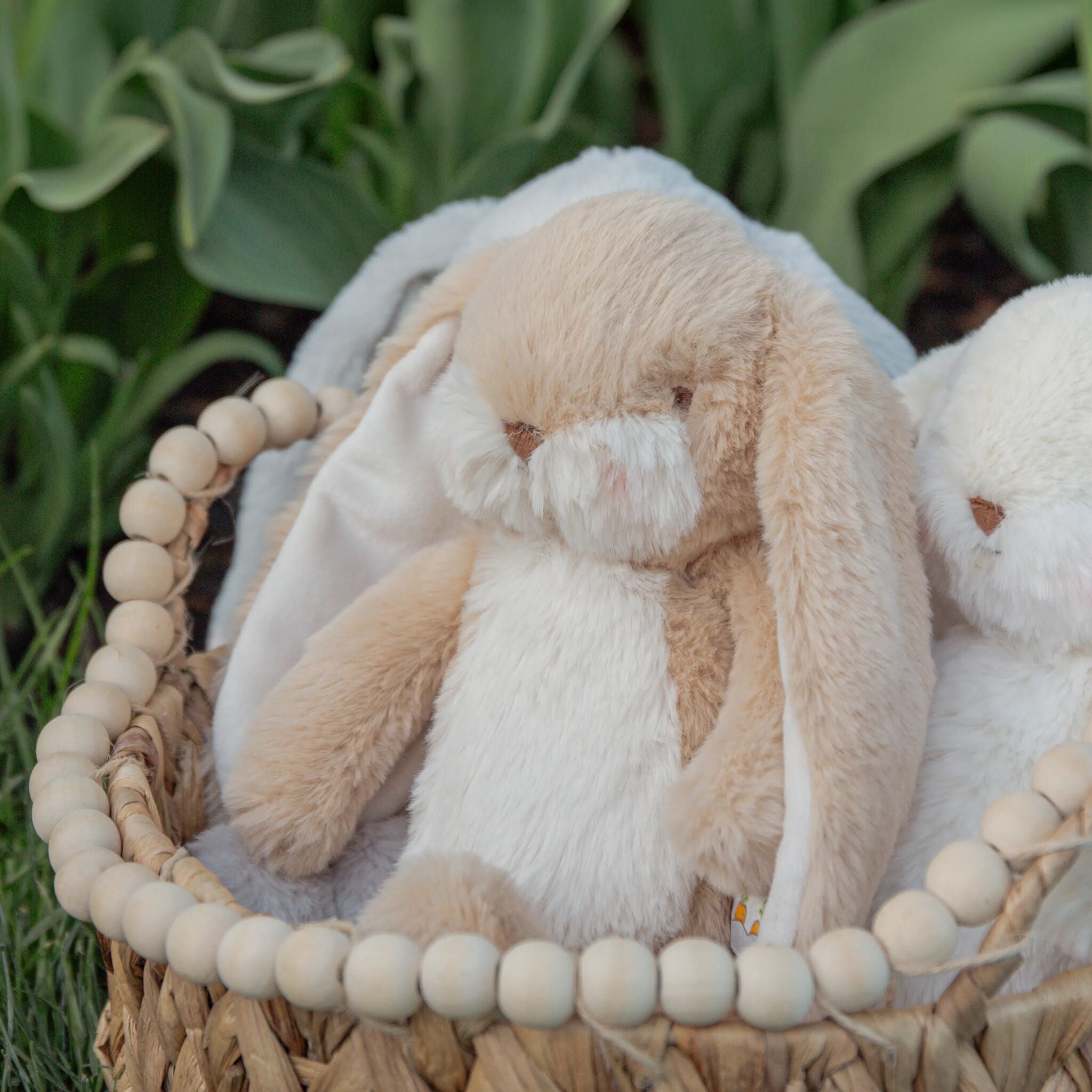 190366: Wee 8" Floppy Nibble Bunny - Almond Joy