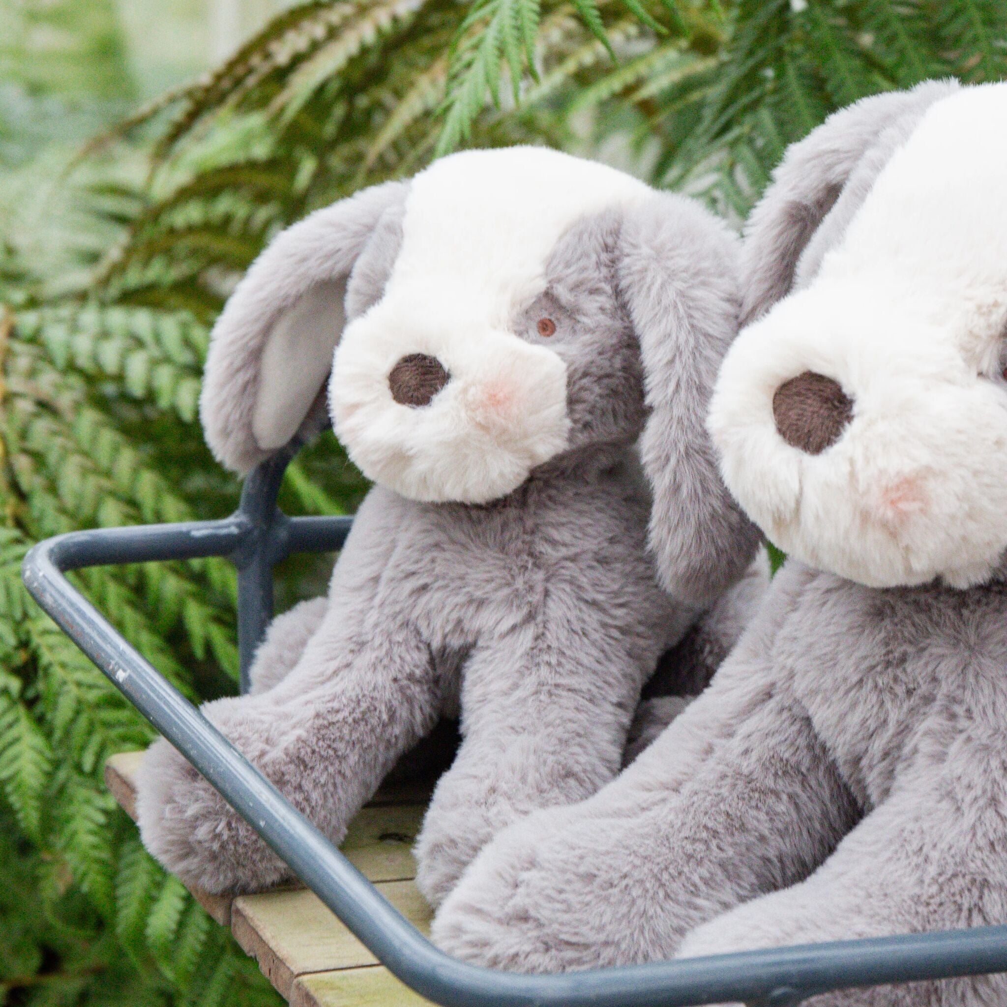 190645: Little Floppy Mutt - Steel