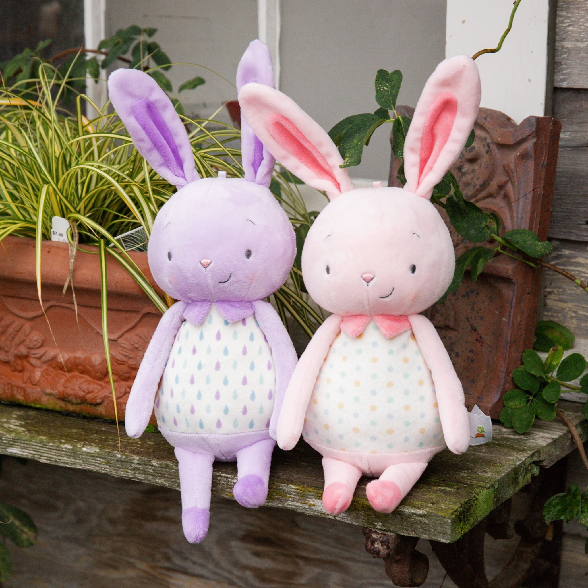 190667: Jelly Buns - Strawberry Jelly