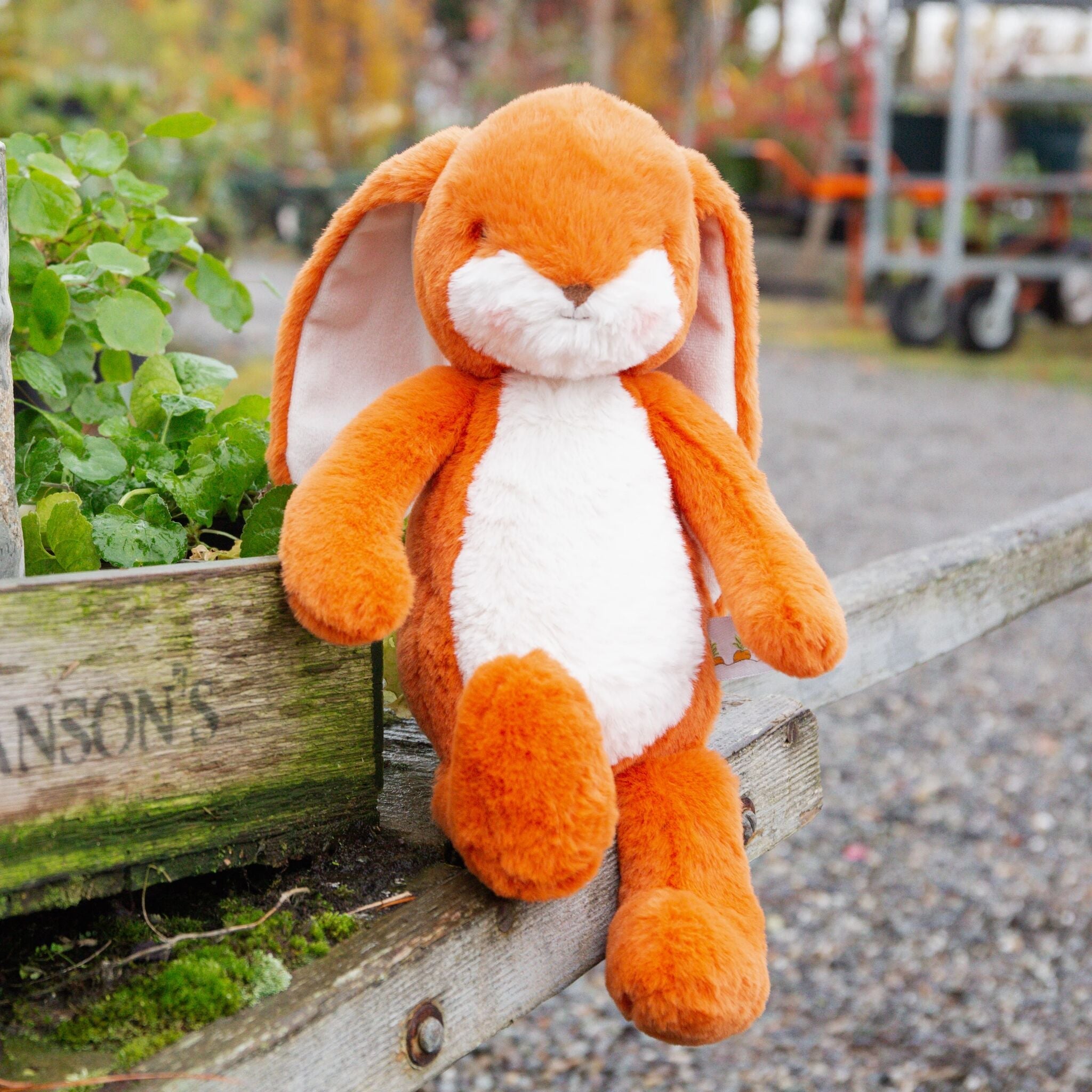 Little 12" Floppy Nibble Bunny - Carrot-Stuffed Animal-SKU: - Bunnies By The Bay