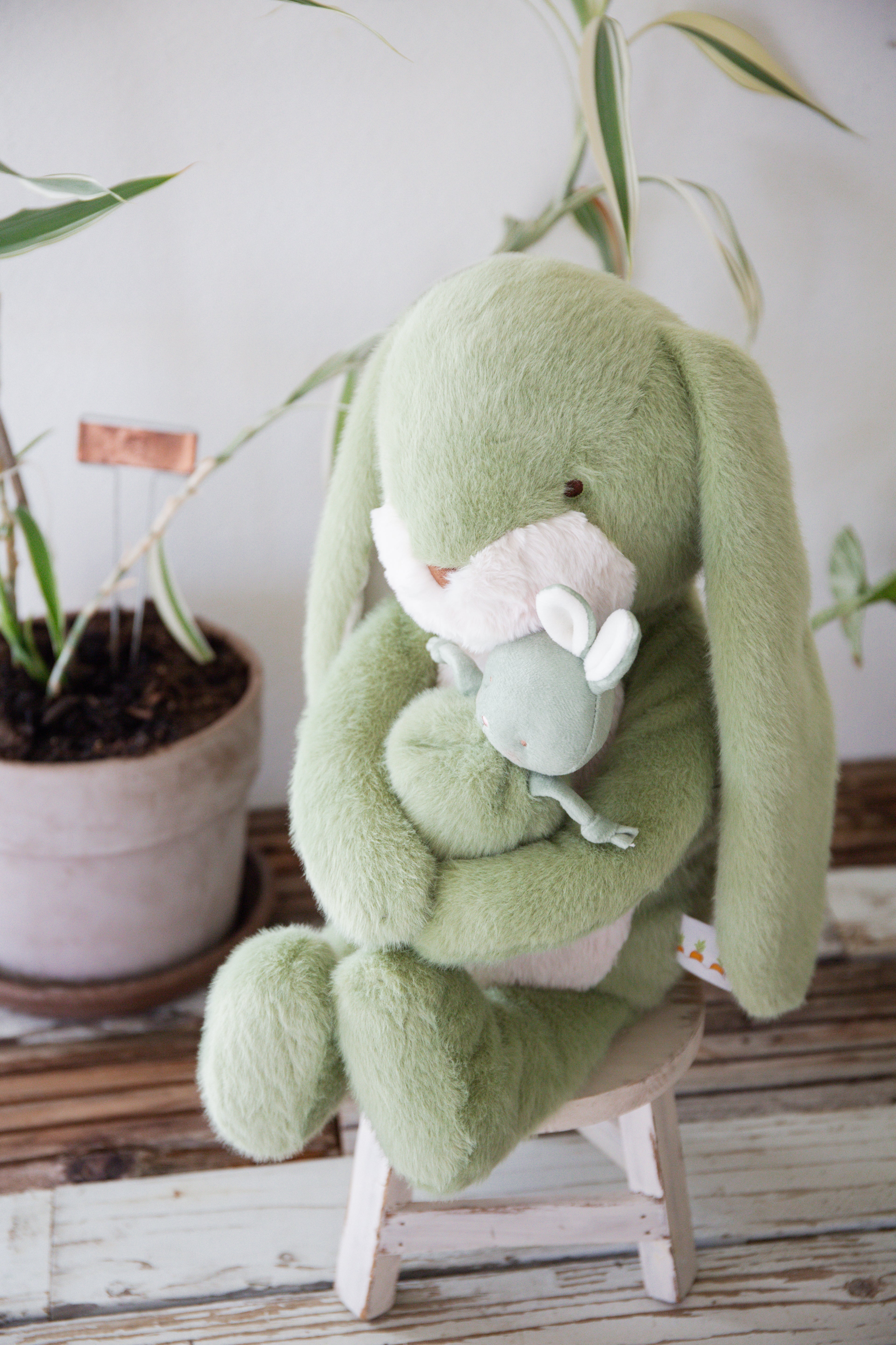 Spring 2025! 190544: Big 20" Nibble Bunny – Pistachio