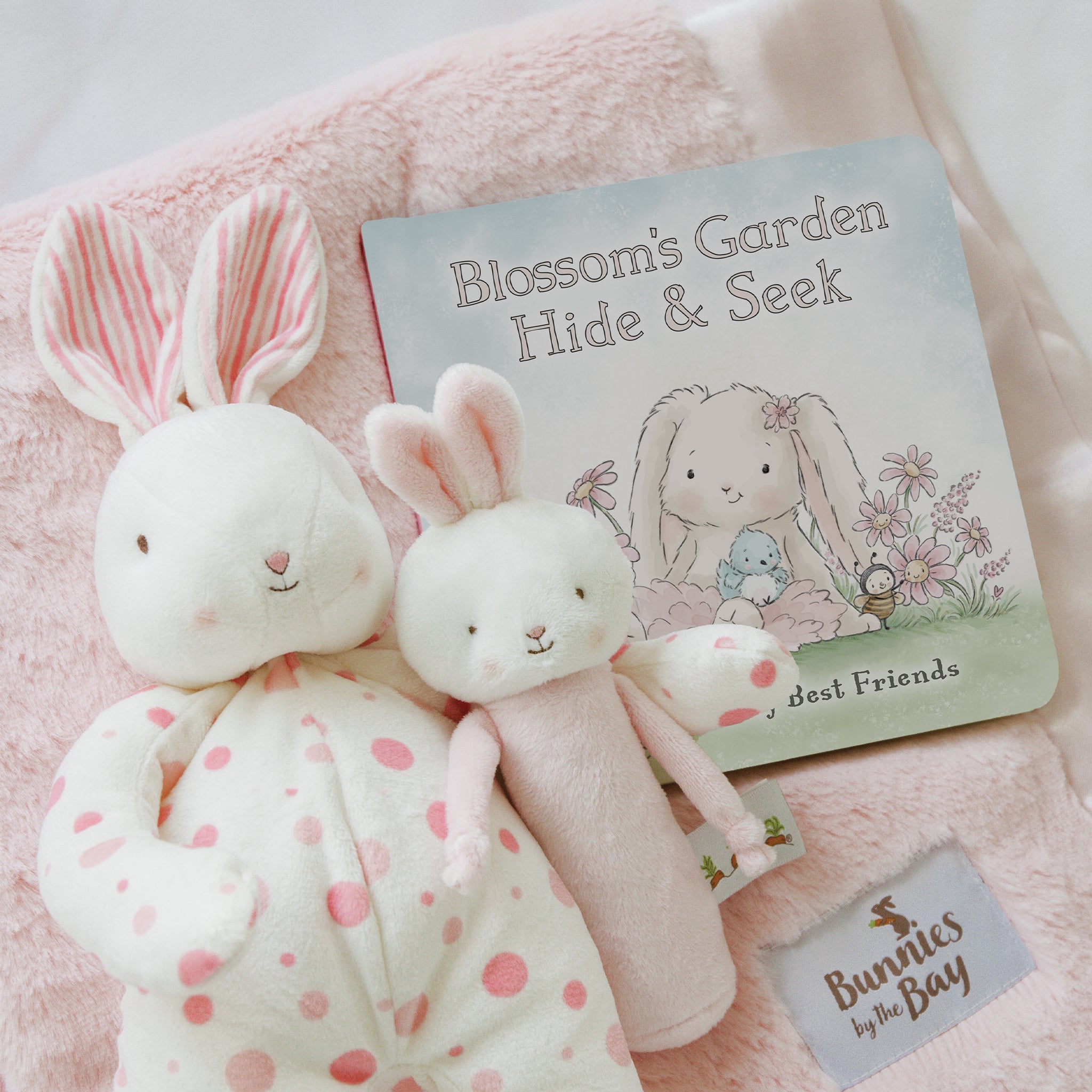 Spring 2025! 190566: Hide & Seek in Blossom's Garden Board Book