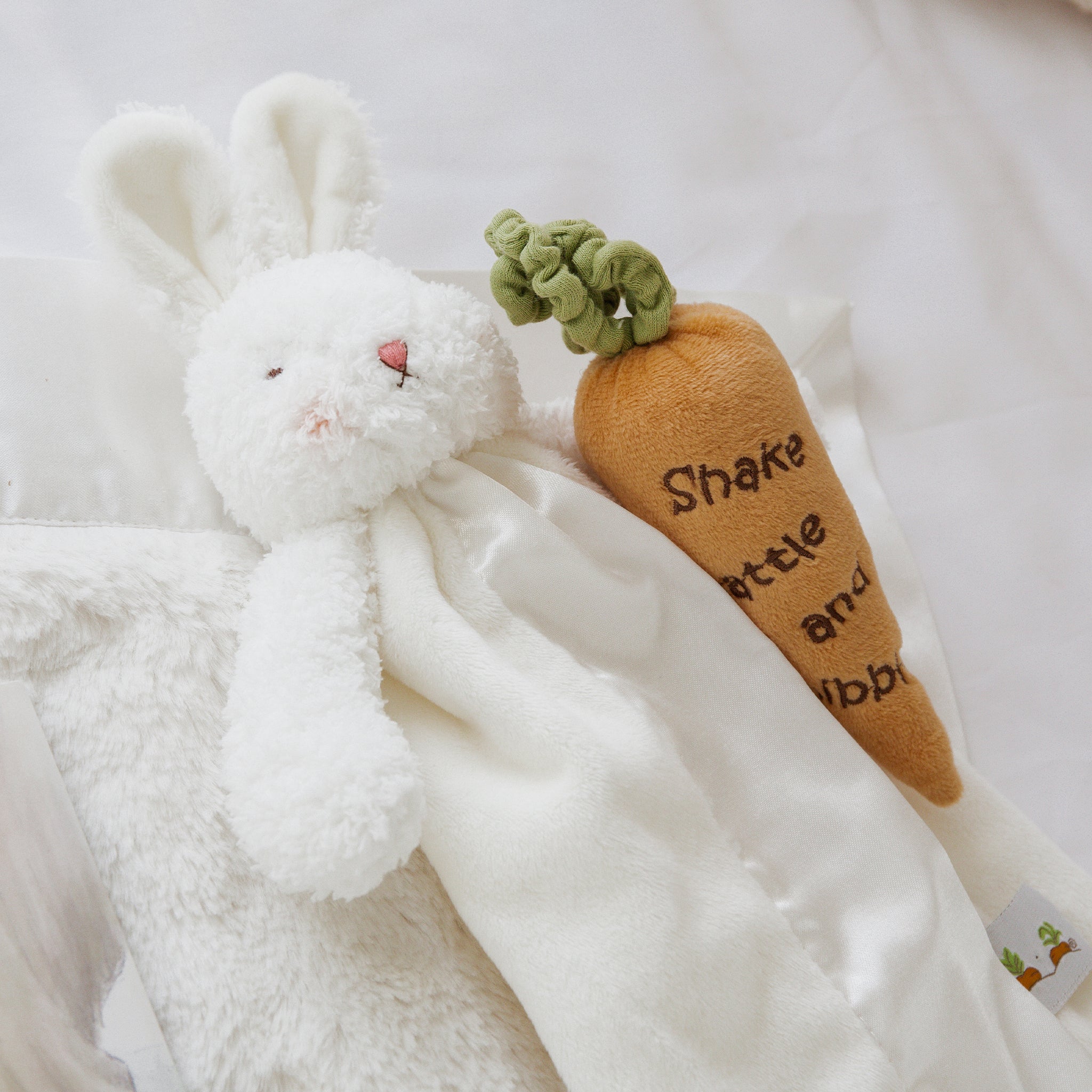 151100: Bun Bun Bunny Bye Bye Buddy